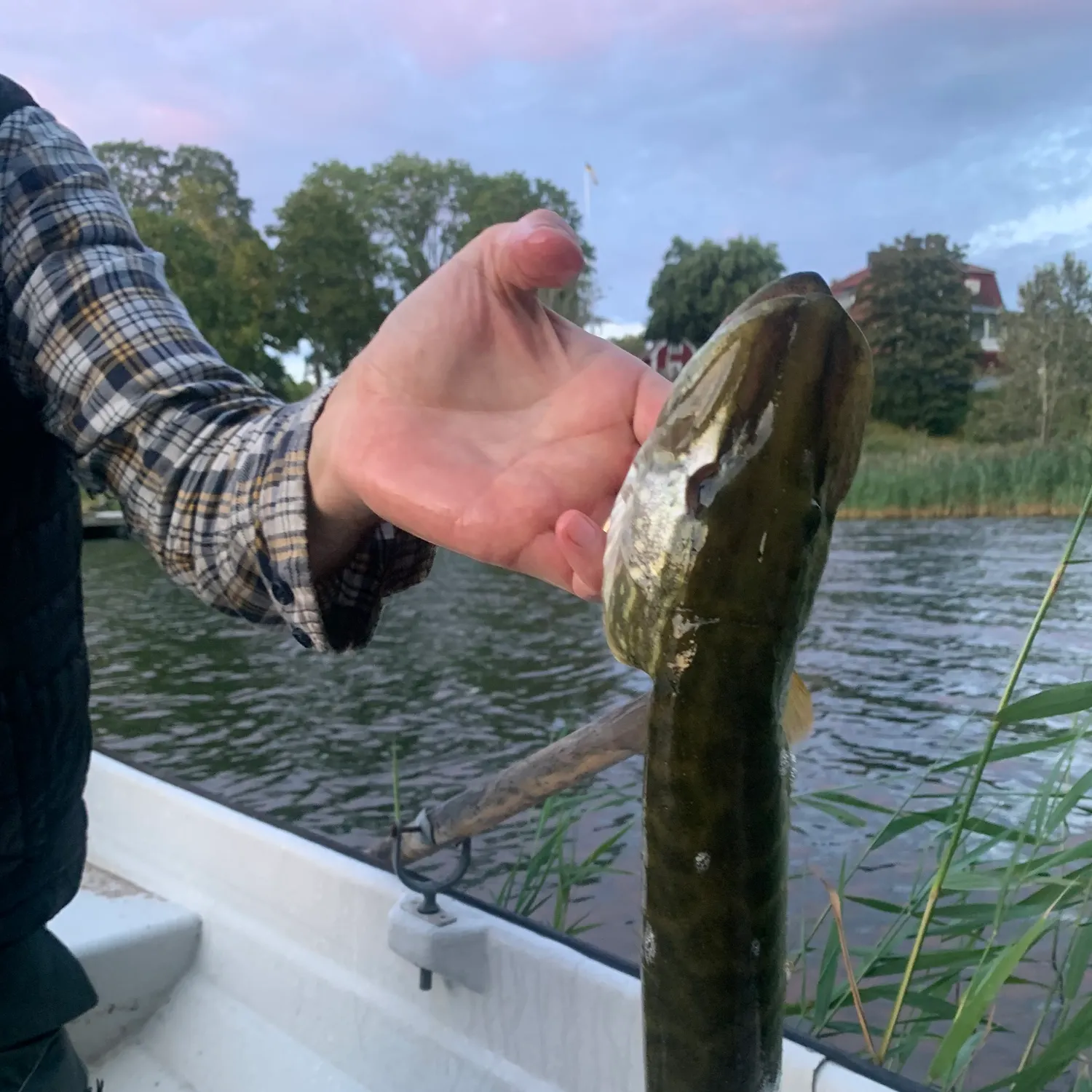 catch