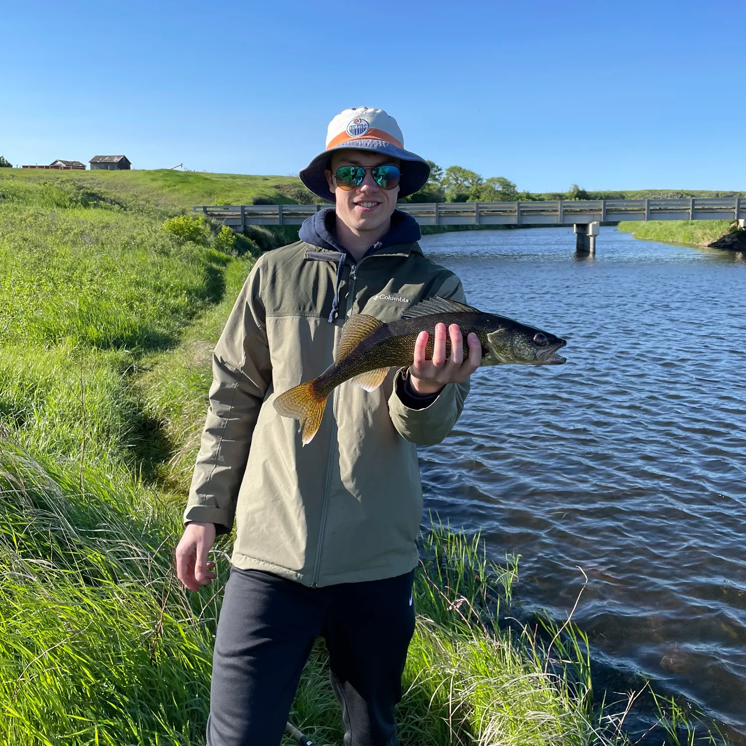 Walleye caught on Fishbrain