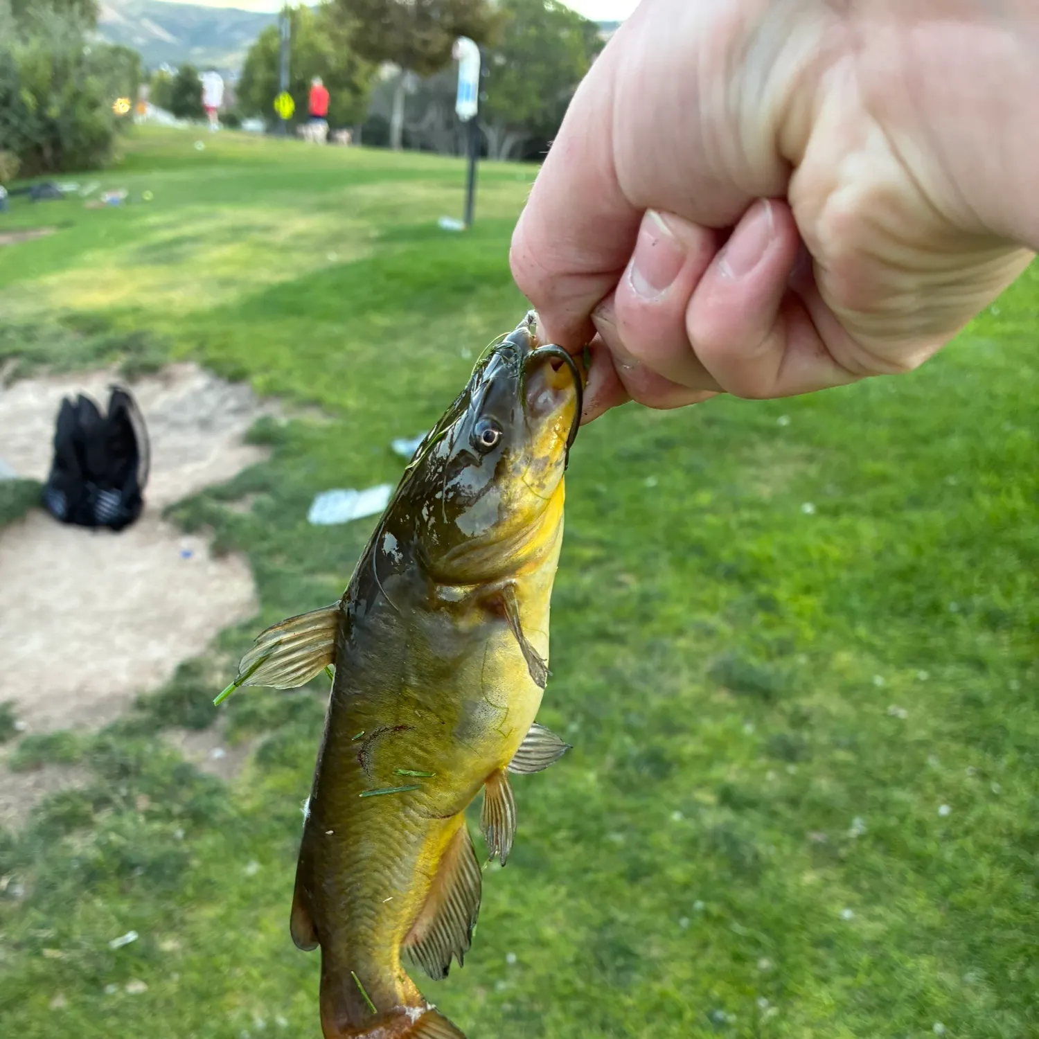 catch