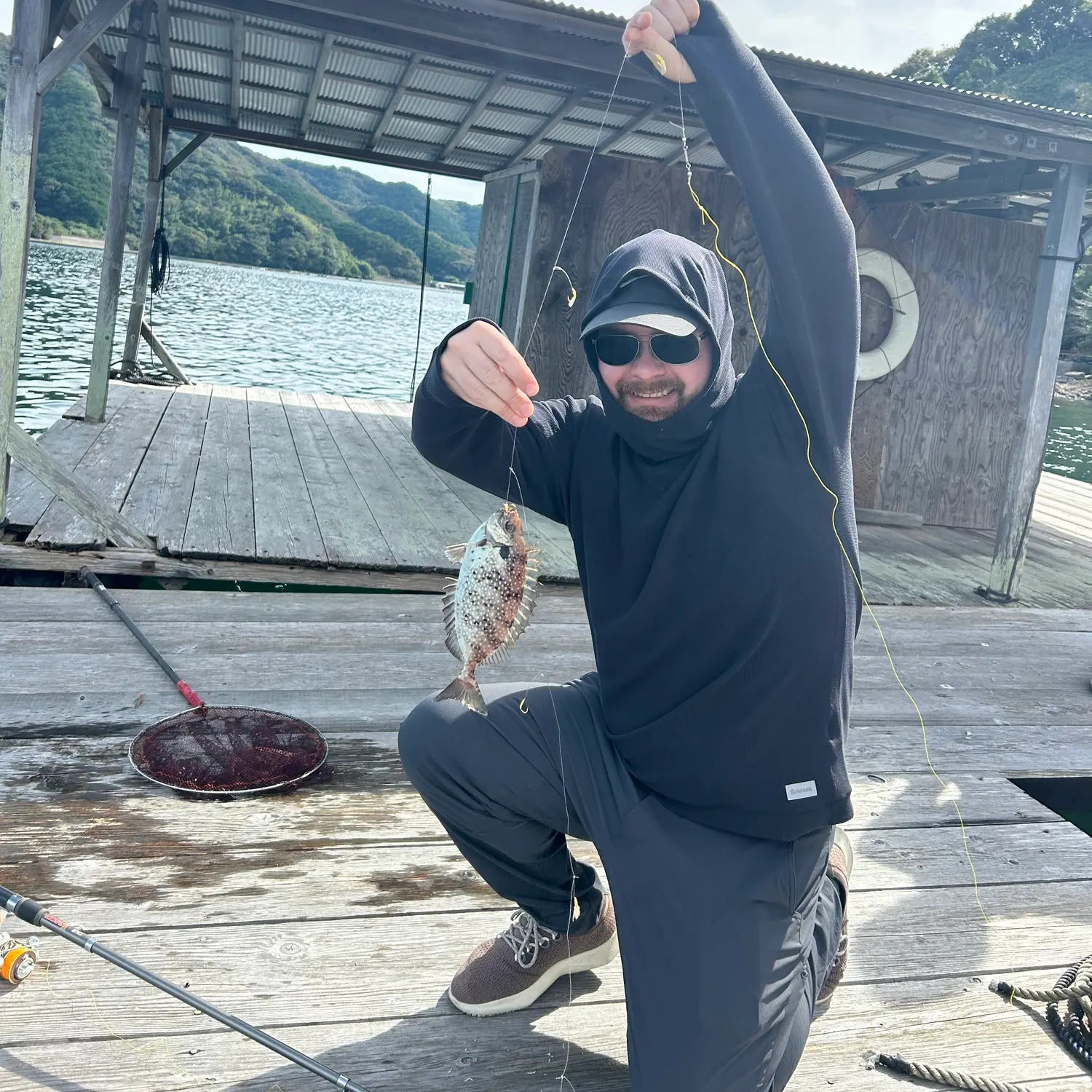 The most recent Mottled spinefoot catches on Fishbrain