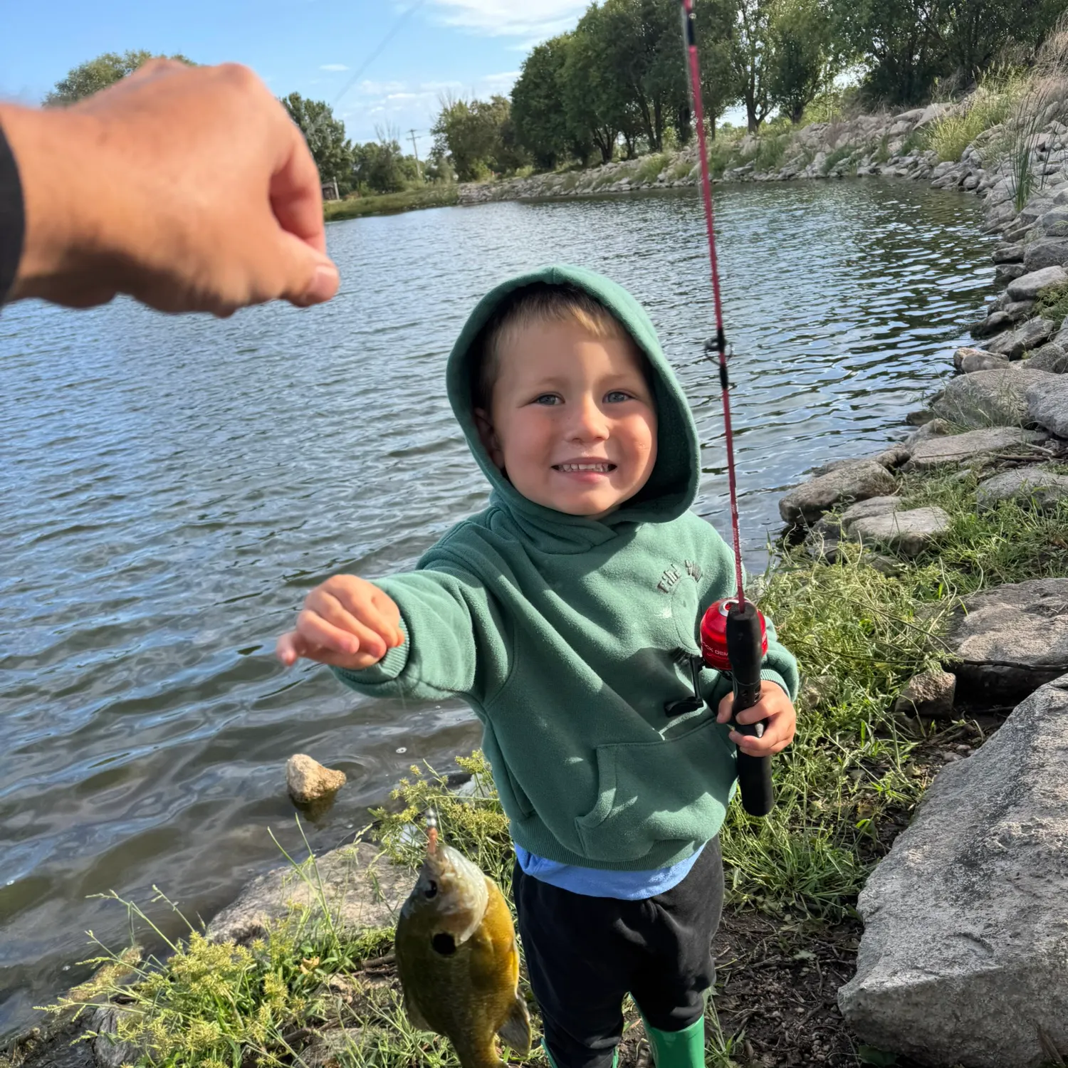Bluegill caught on Fishbrain