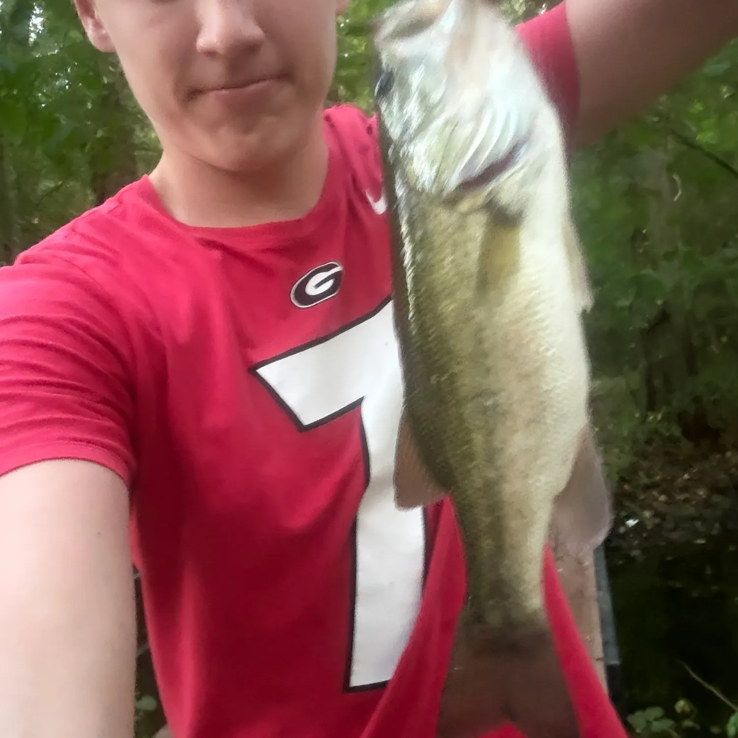 Largemouth bass caught on Fishbrain