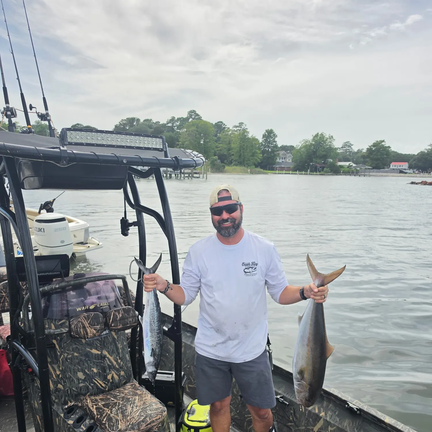 Greater amberjack caught on Fishbrain