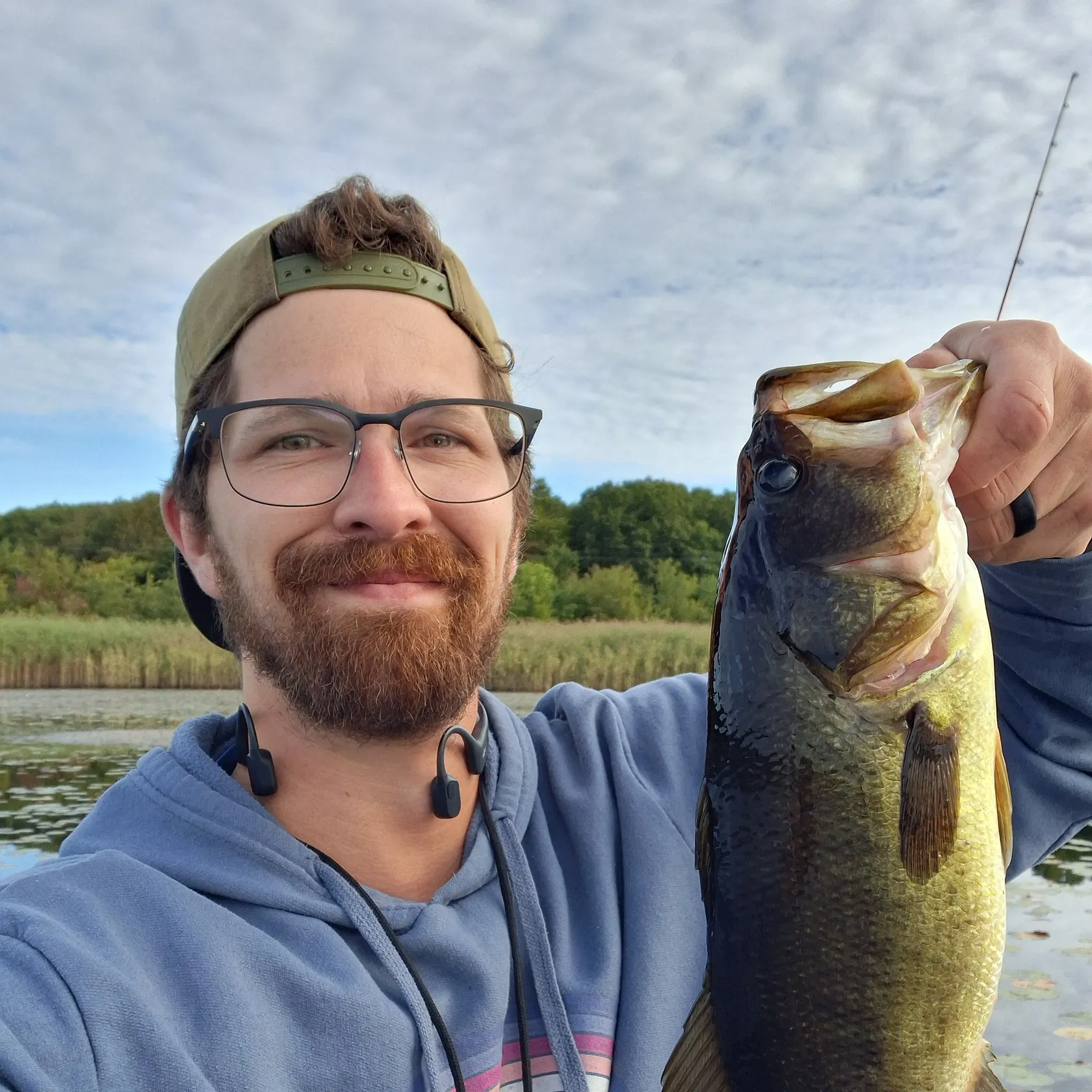 Largemouth bass caught on Fishbrain