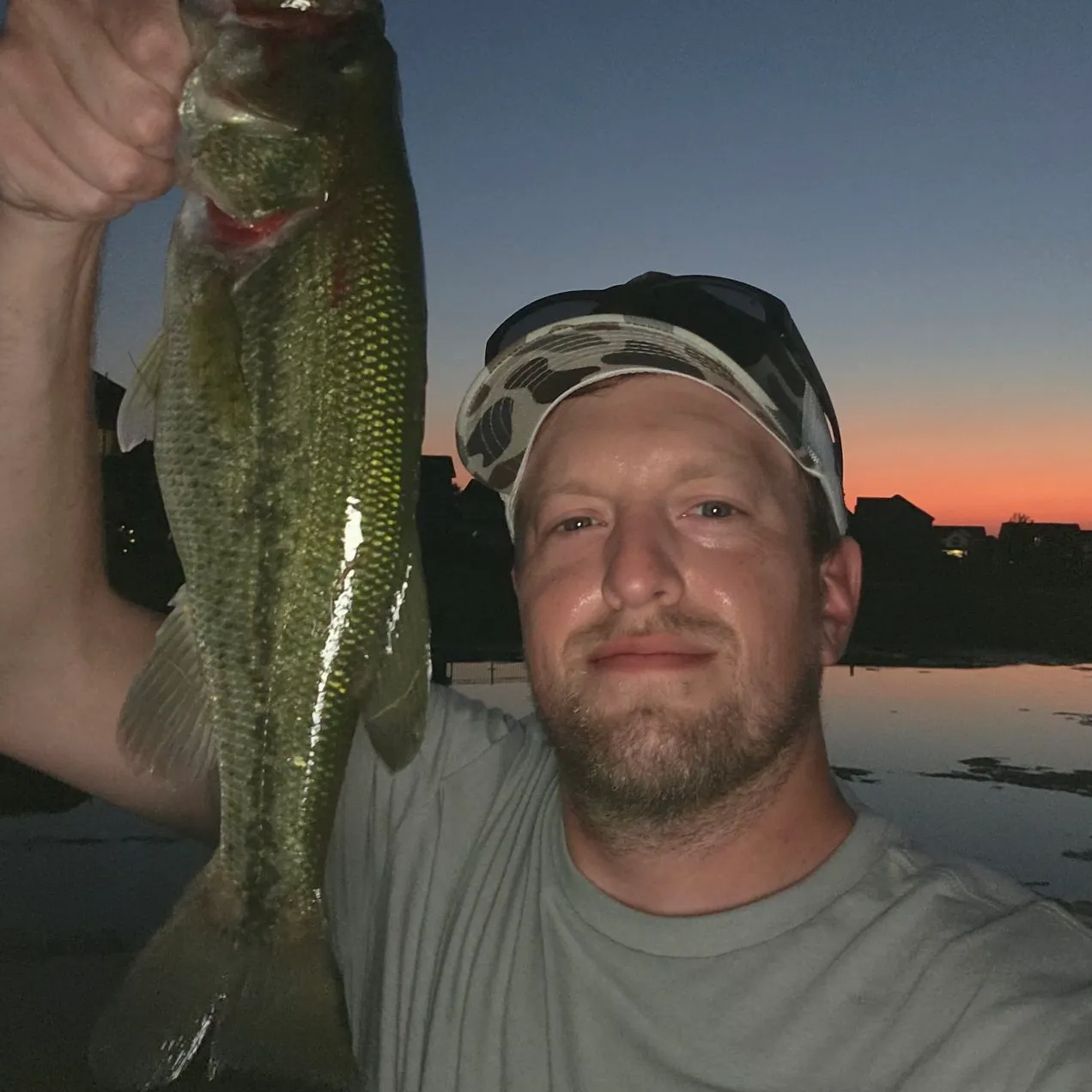 Largemouth bass caught on Fishbrain