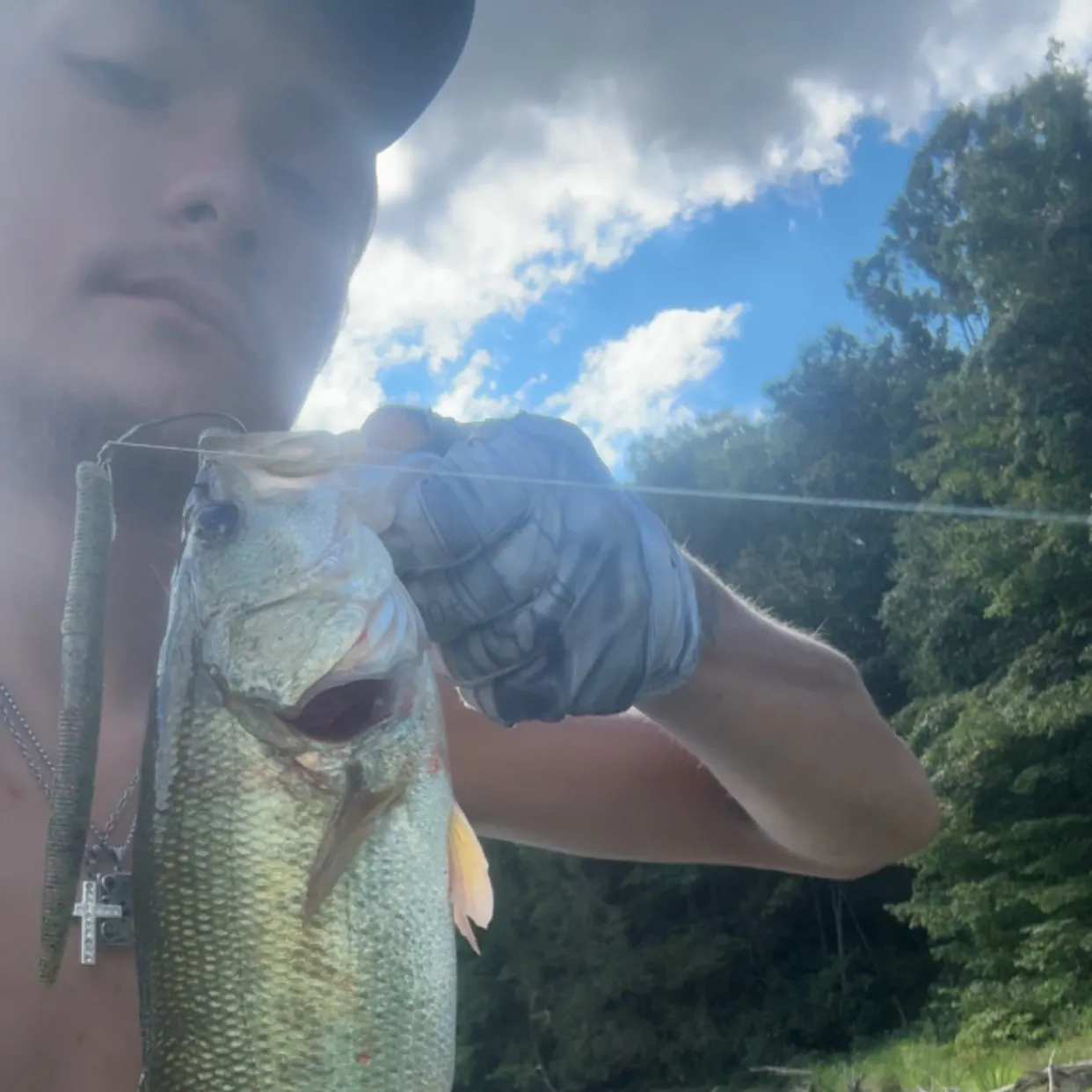 Largemouth bass caught on Fishbrain