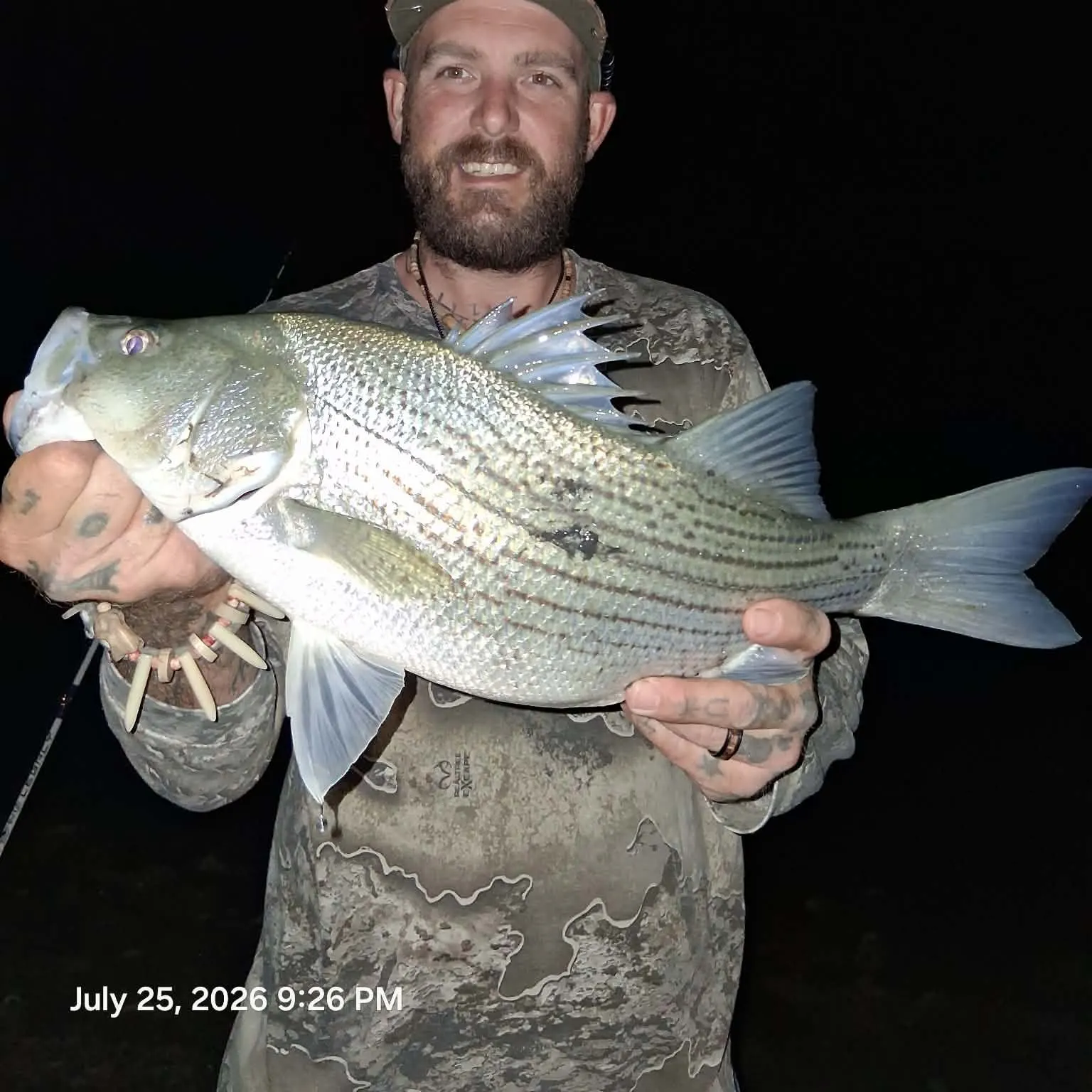 recently logged catches