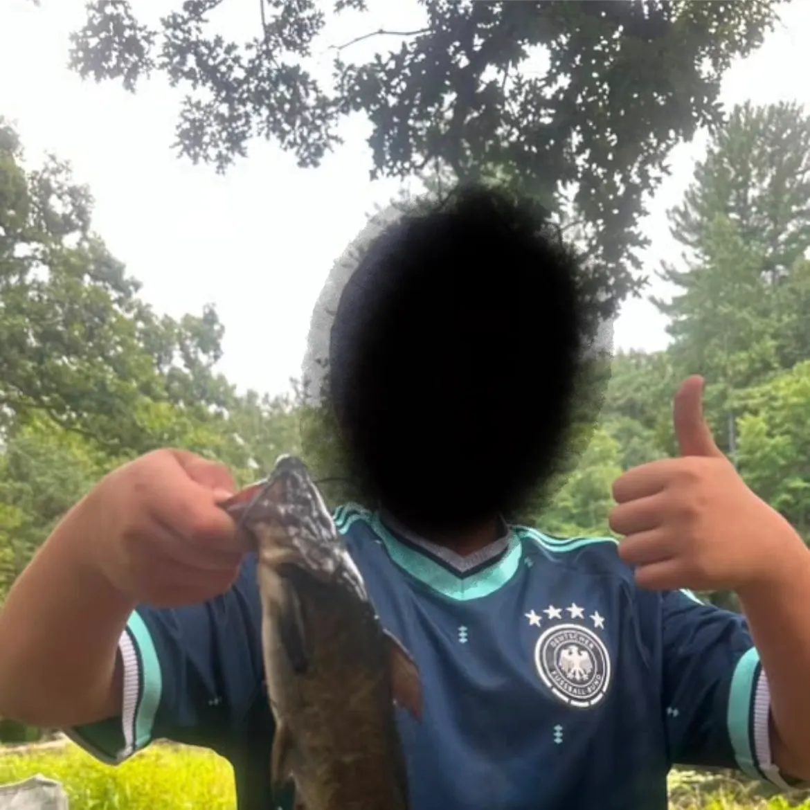 Black bullhead caught on Fishbrain