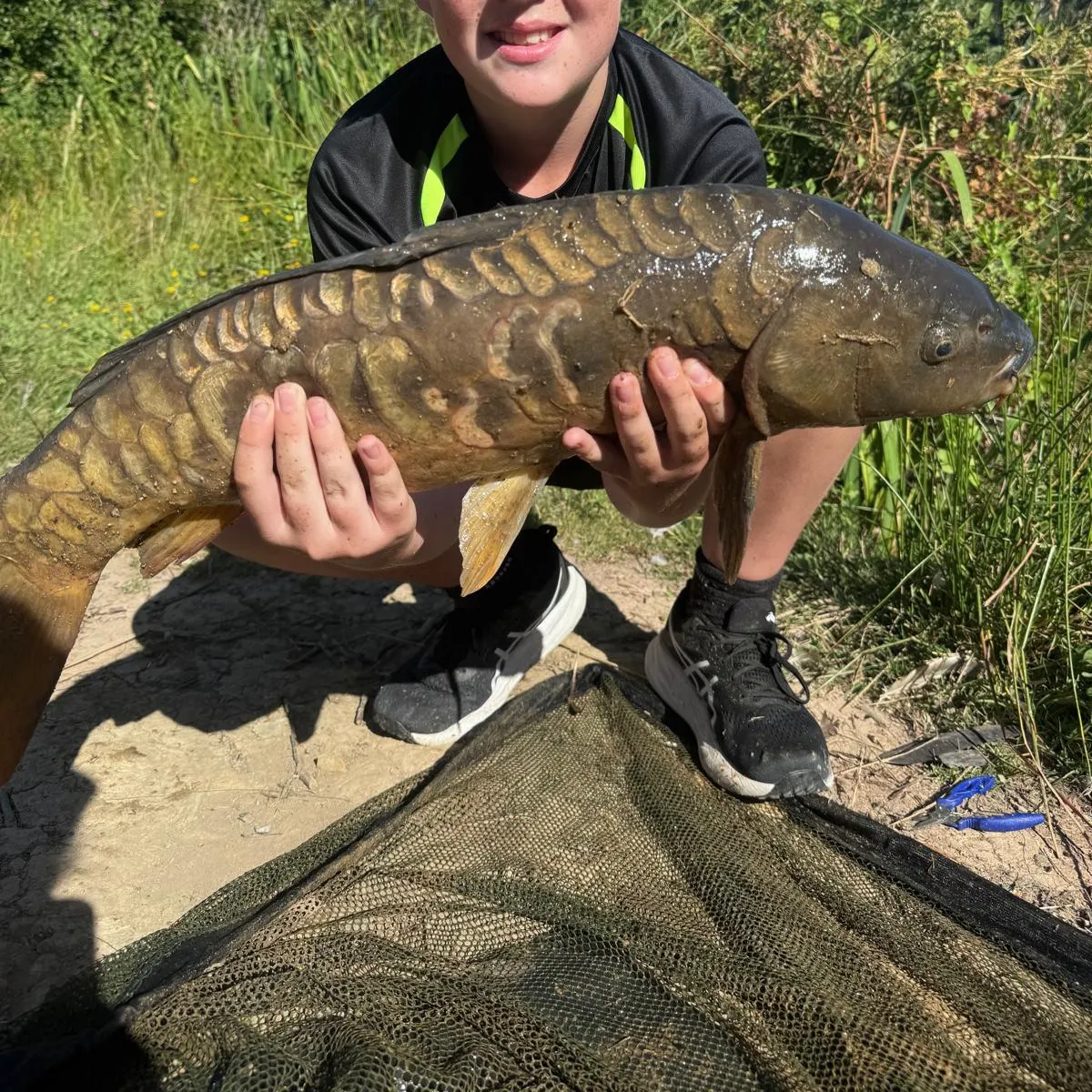 The most recent Mirror carp catches on Fishbrain