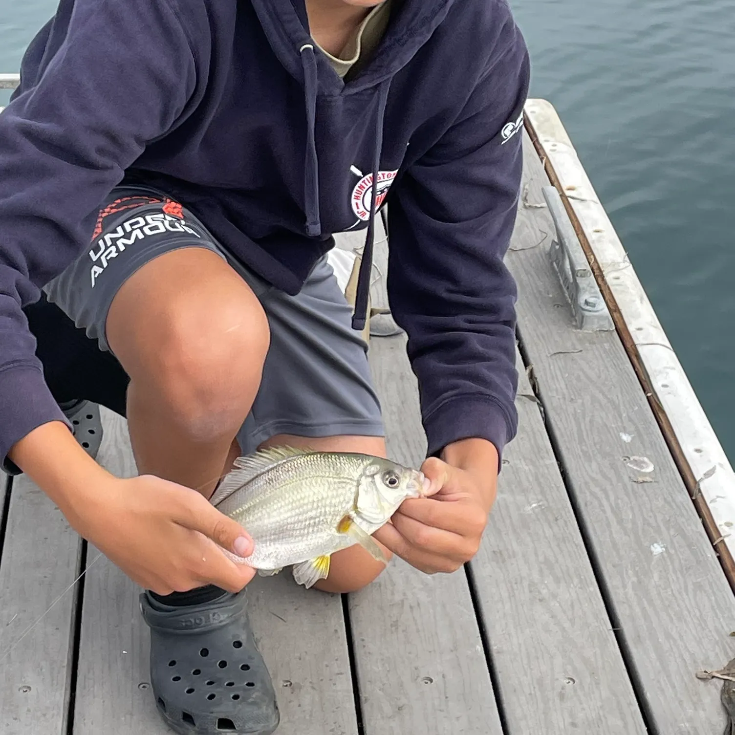The most recent White seaperch catches on Fishbrain