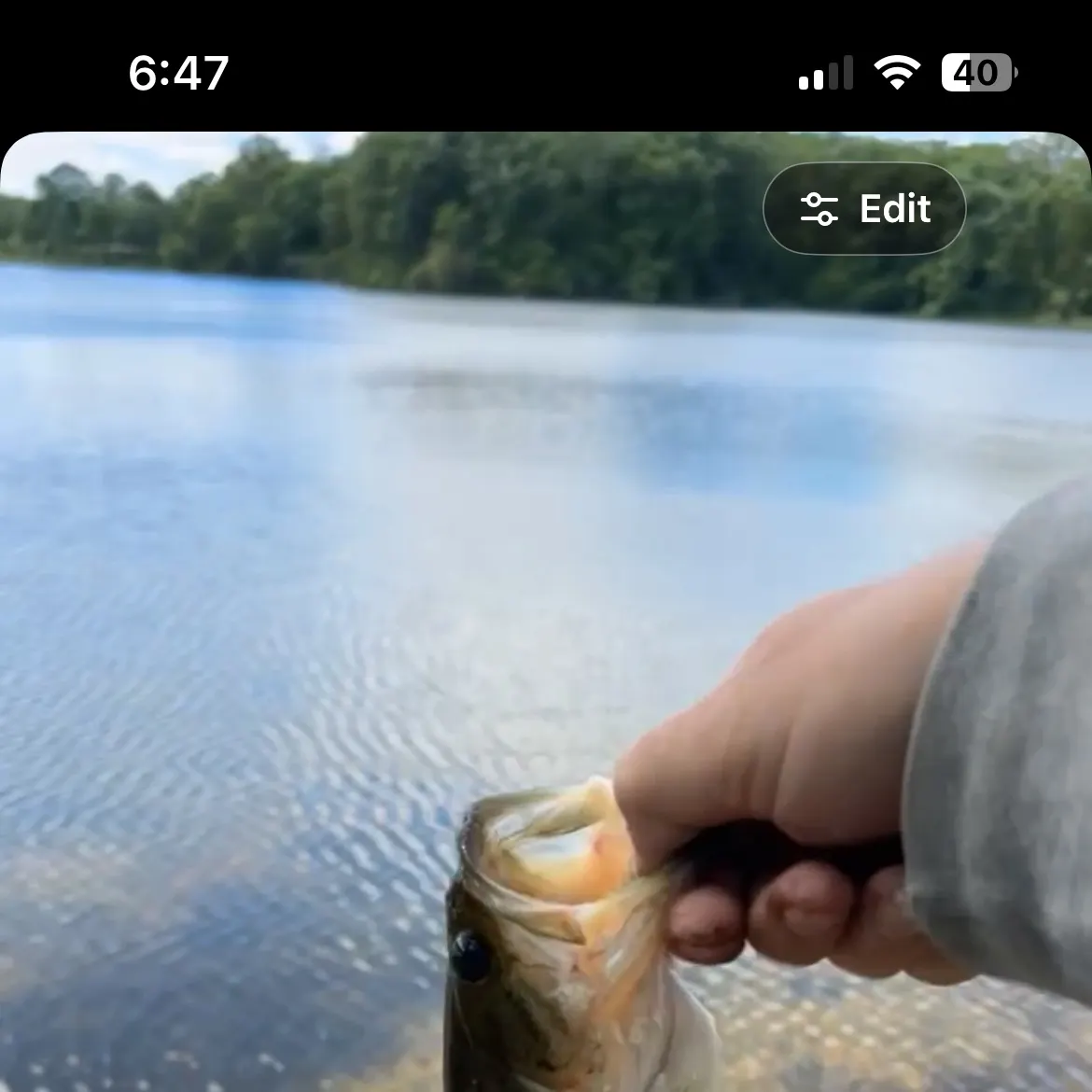 recently logged catches