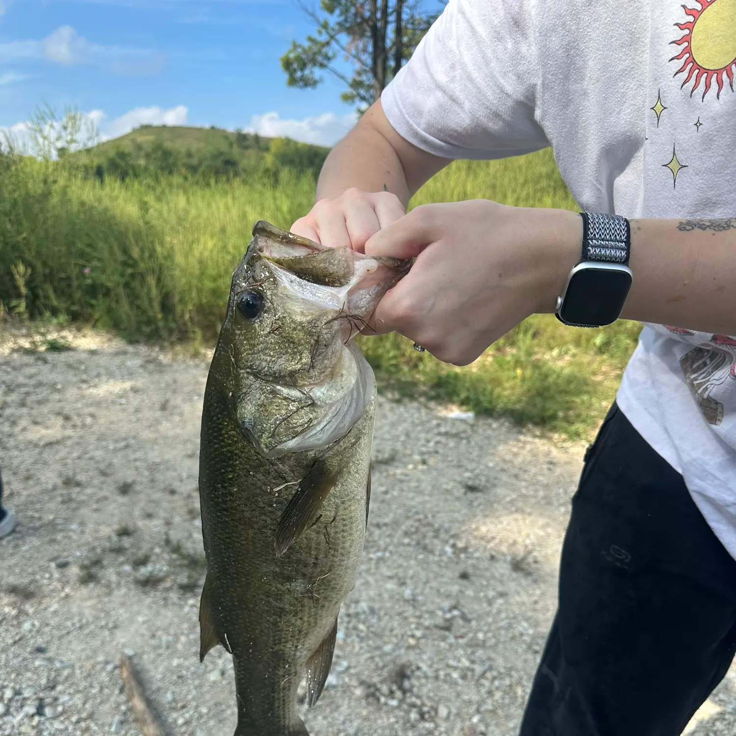Largemouth bass caught on Fishbrain