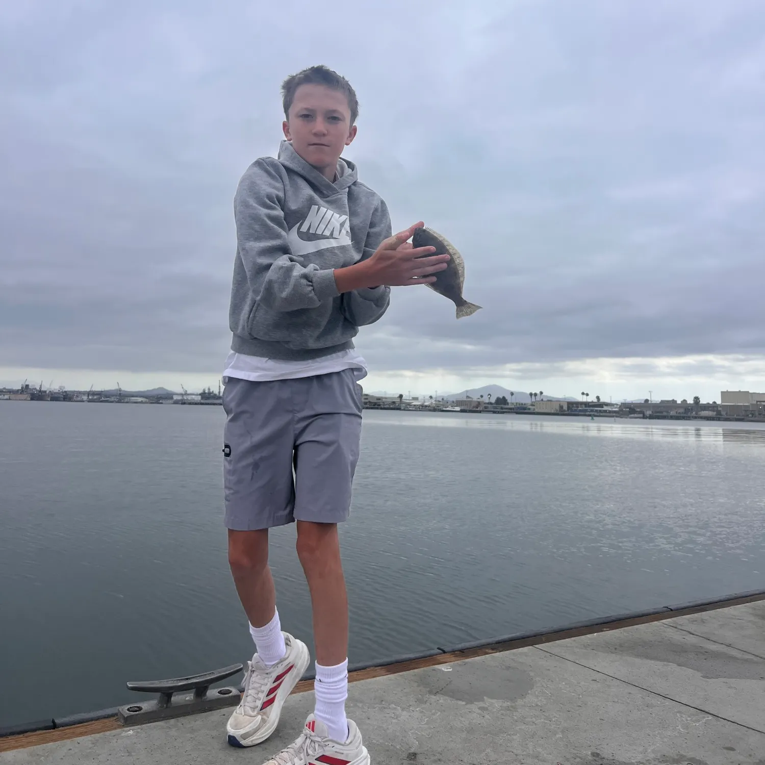 The most recent California halibut catches on Fishbrain