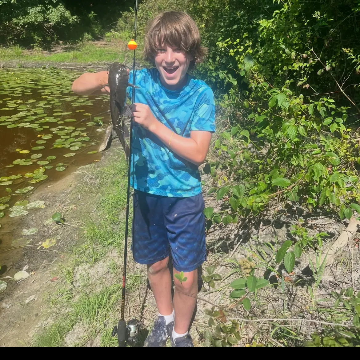 The most recent Black bullhead catches on Fishbrain