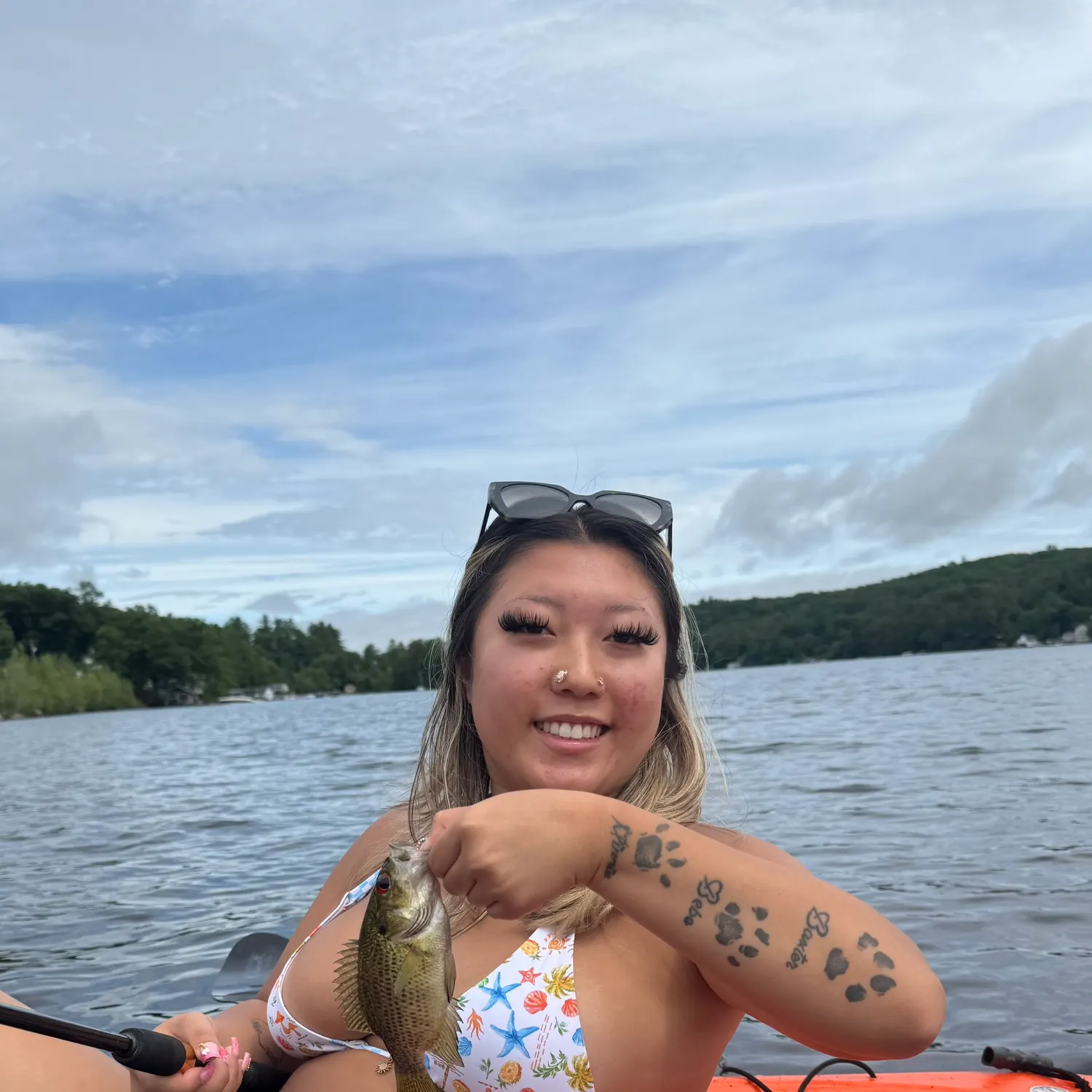 recently logged catches
