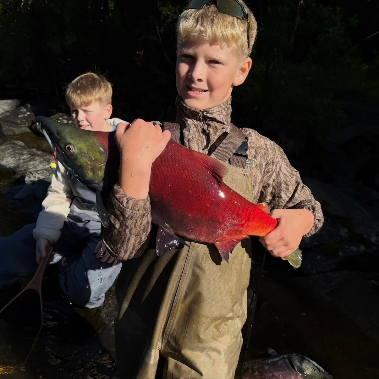 Sockeye salmon caught on Fishbrain