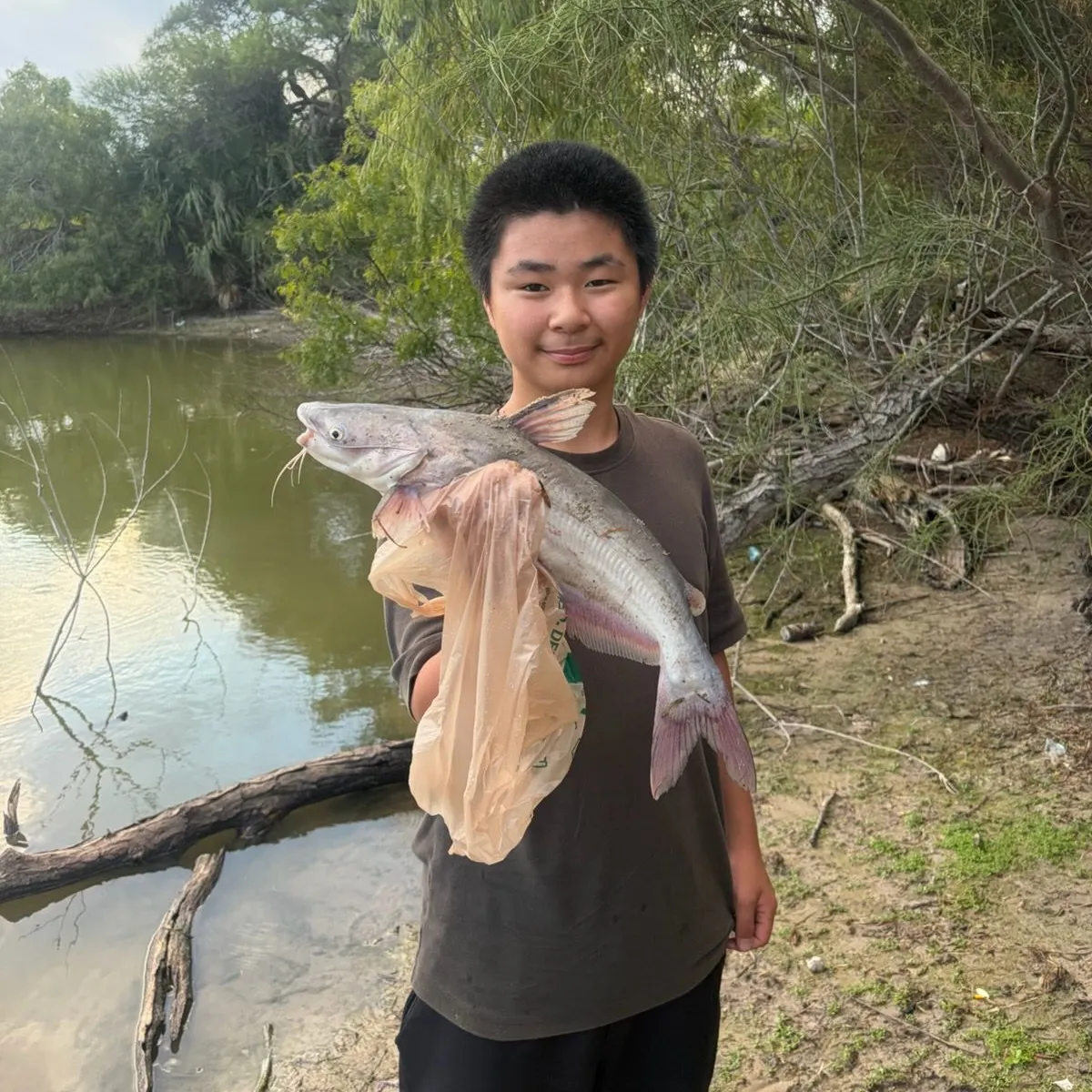 Blue catfish caught on Fishbrain