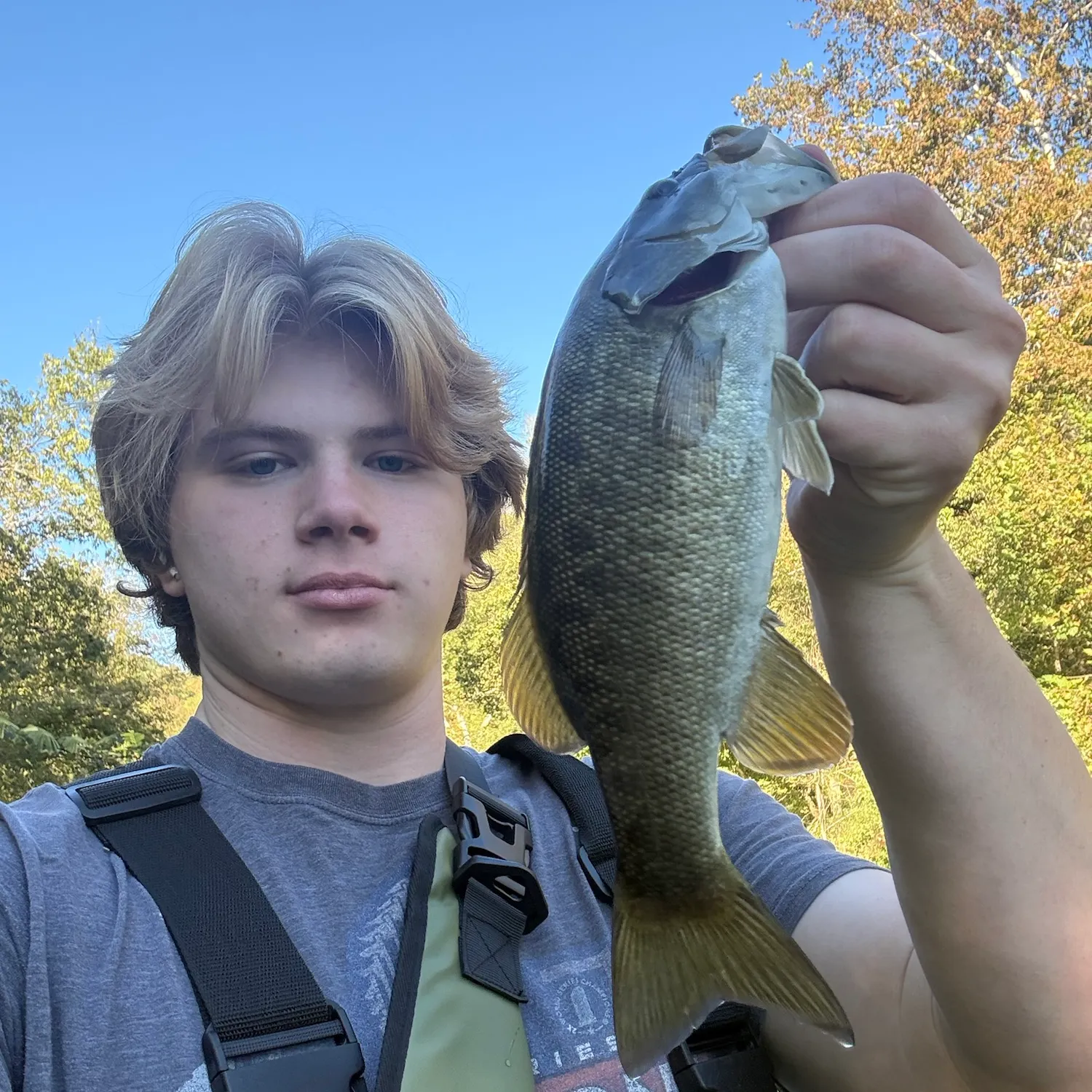 Smallmouth bass caught on Fishbrain