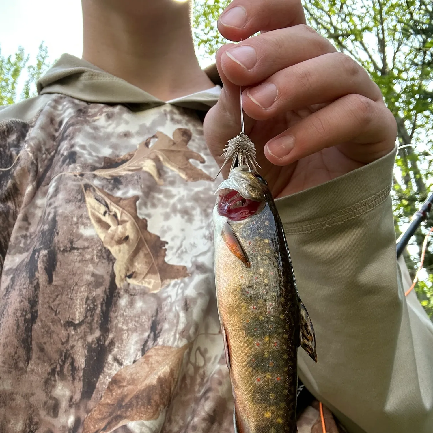 Brook trout caught on Fishbrain