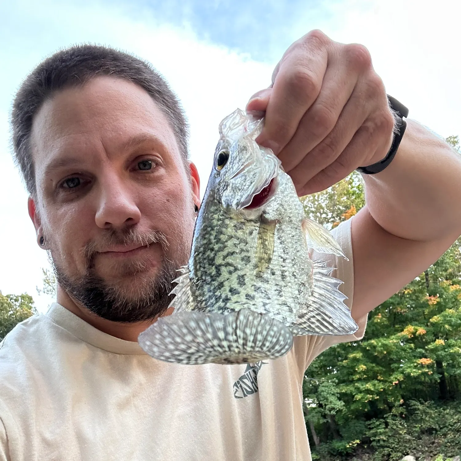 Black crappie caught on Fishbrain