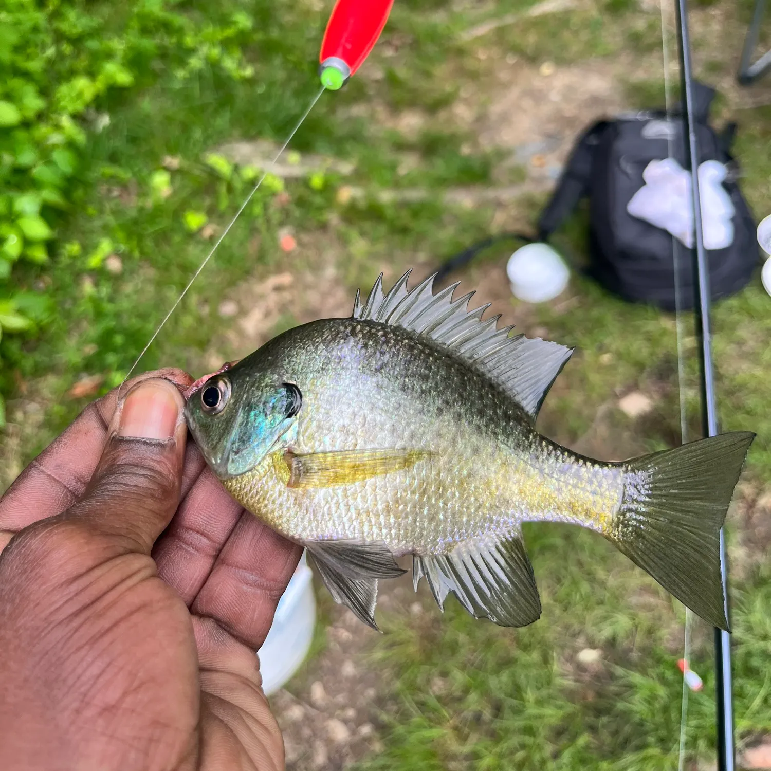 catch