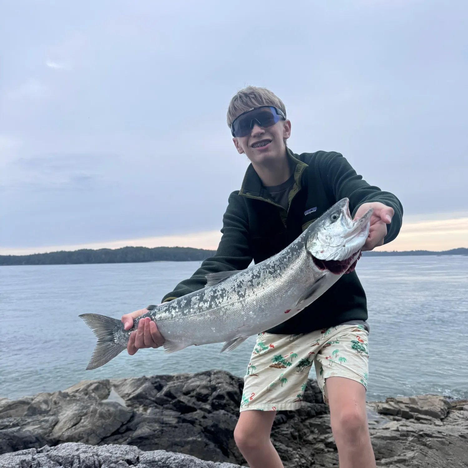 Coho salmon caught on Fishbrain