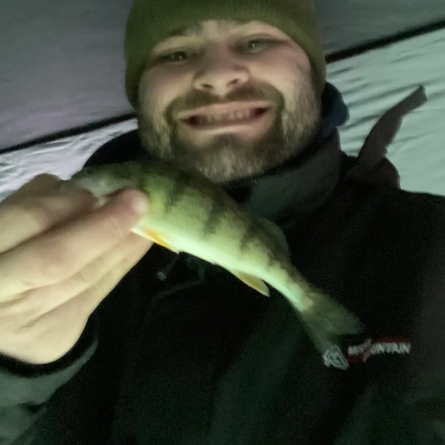 The most recent Yellow perch catches on Fishbrain