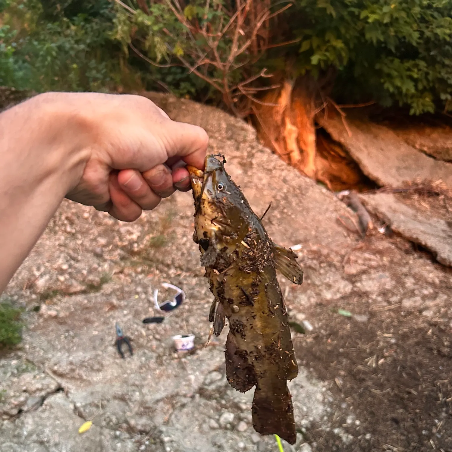 catch