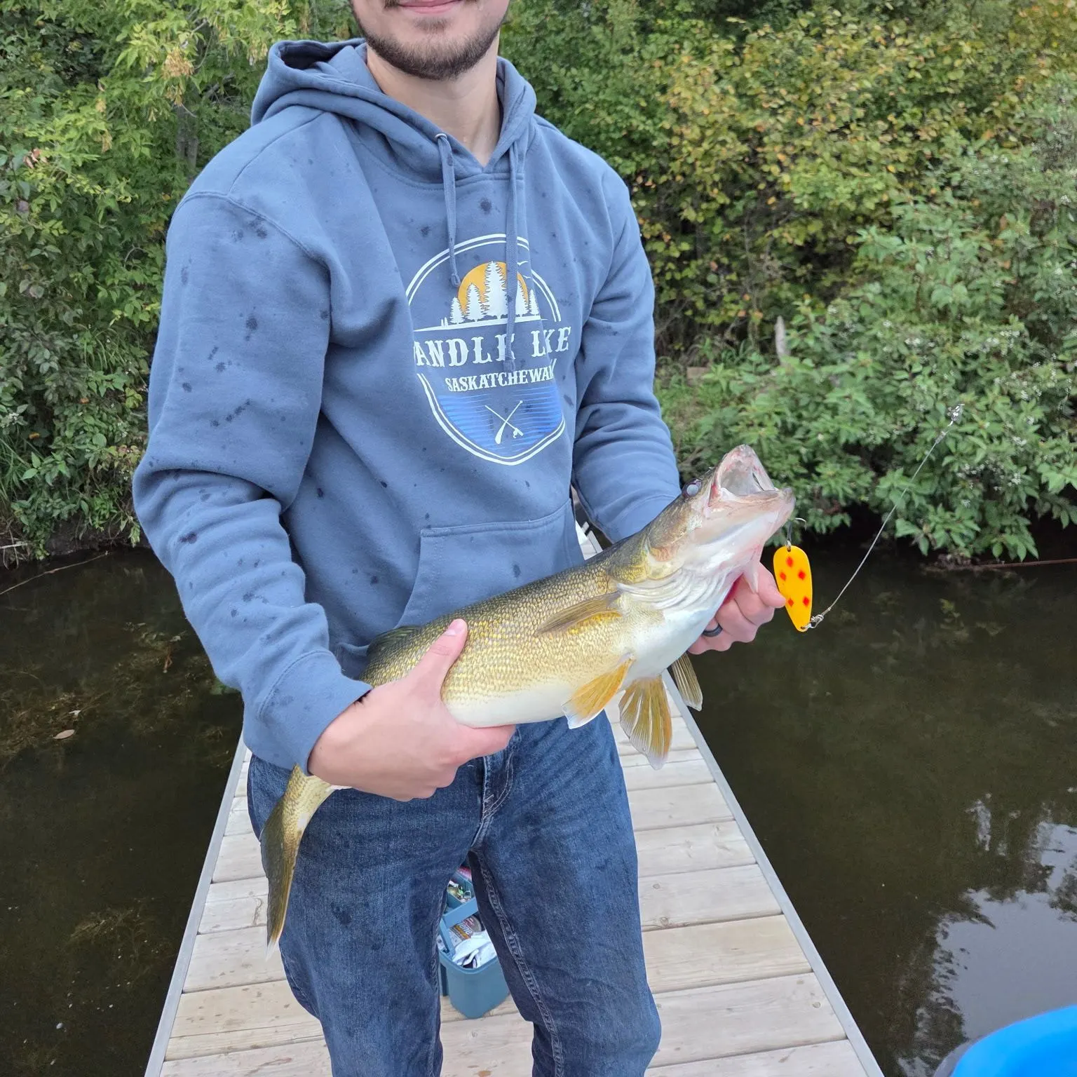 Walleye caught on Fishbrain