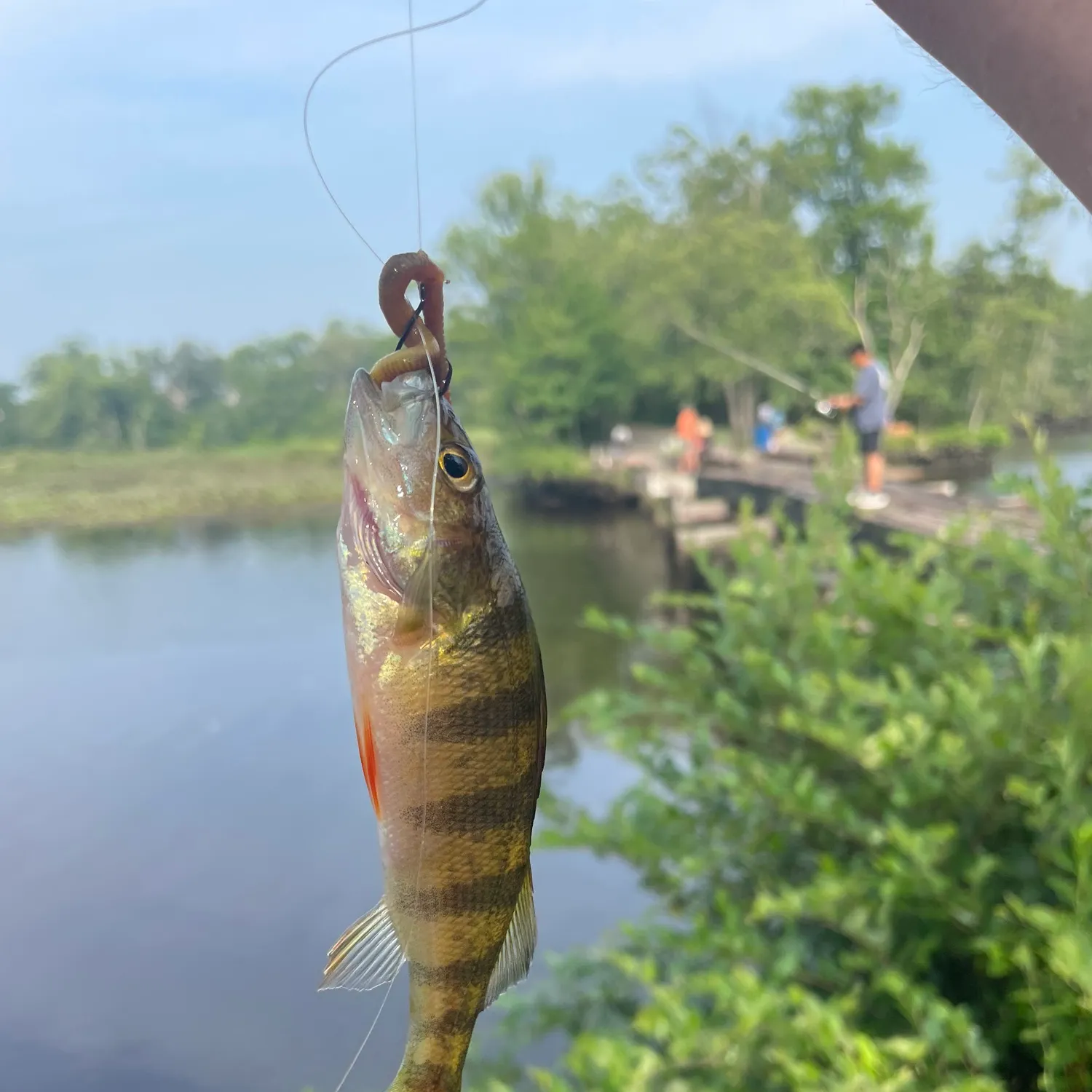 catch
