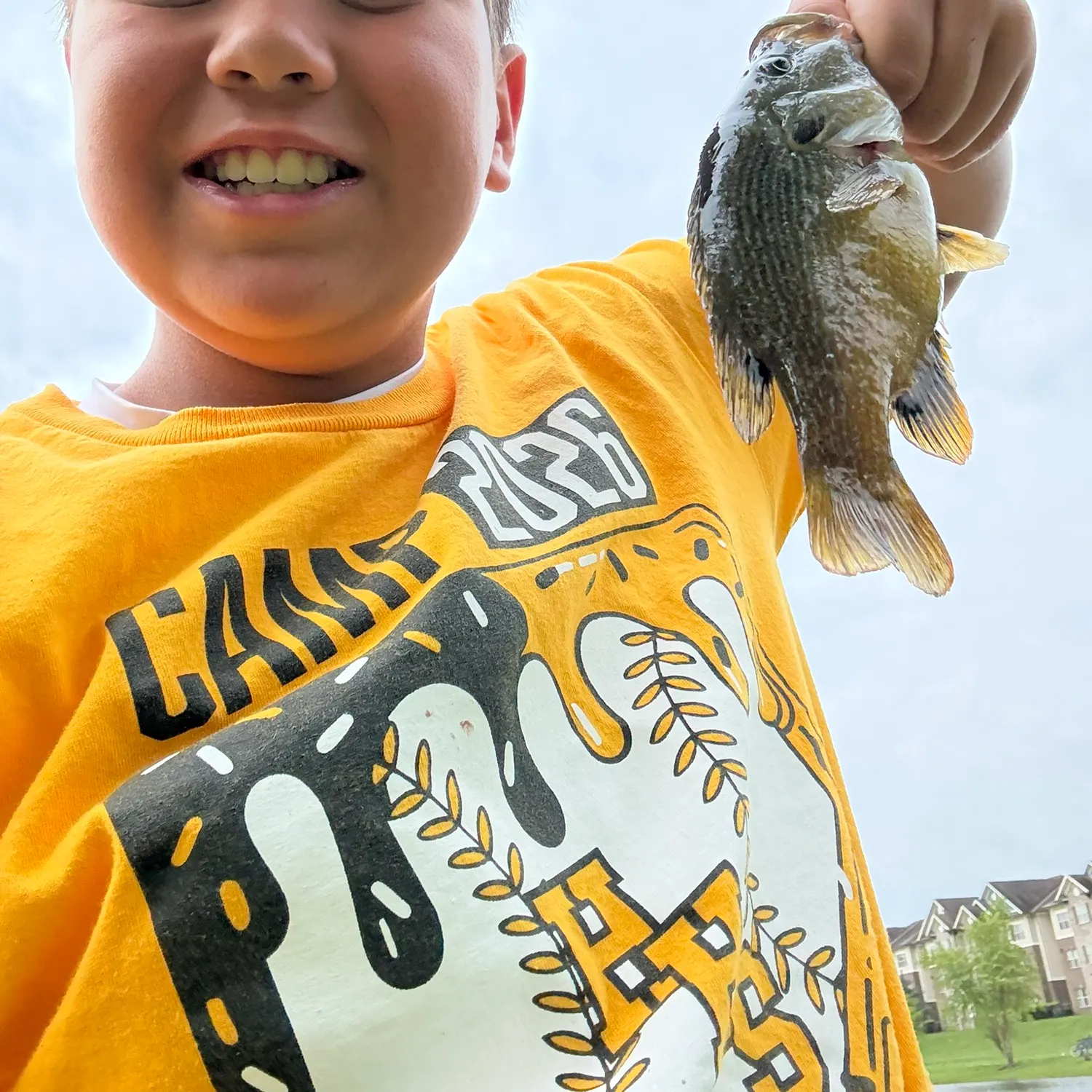 The most recent Green sunfish catches on Fishbrain