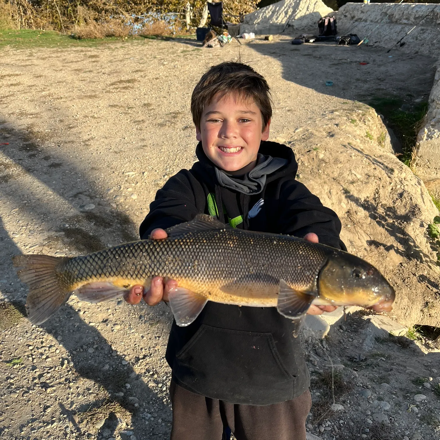 The most recent Sacramento sucker catches on Fishbrain
