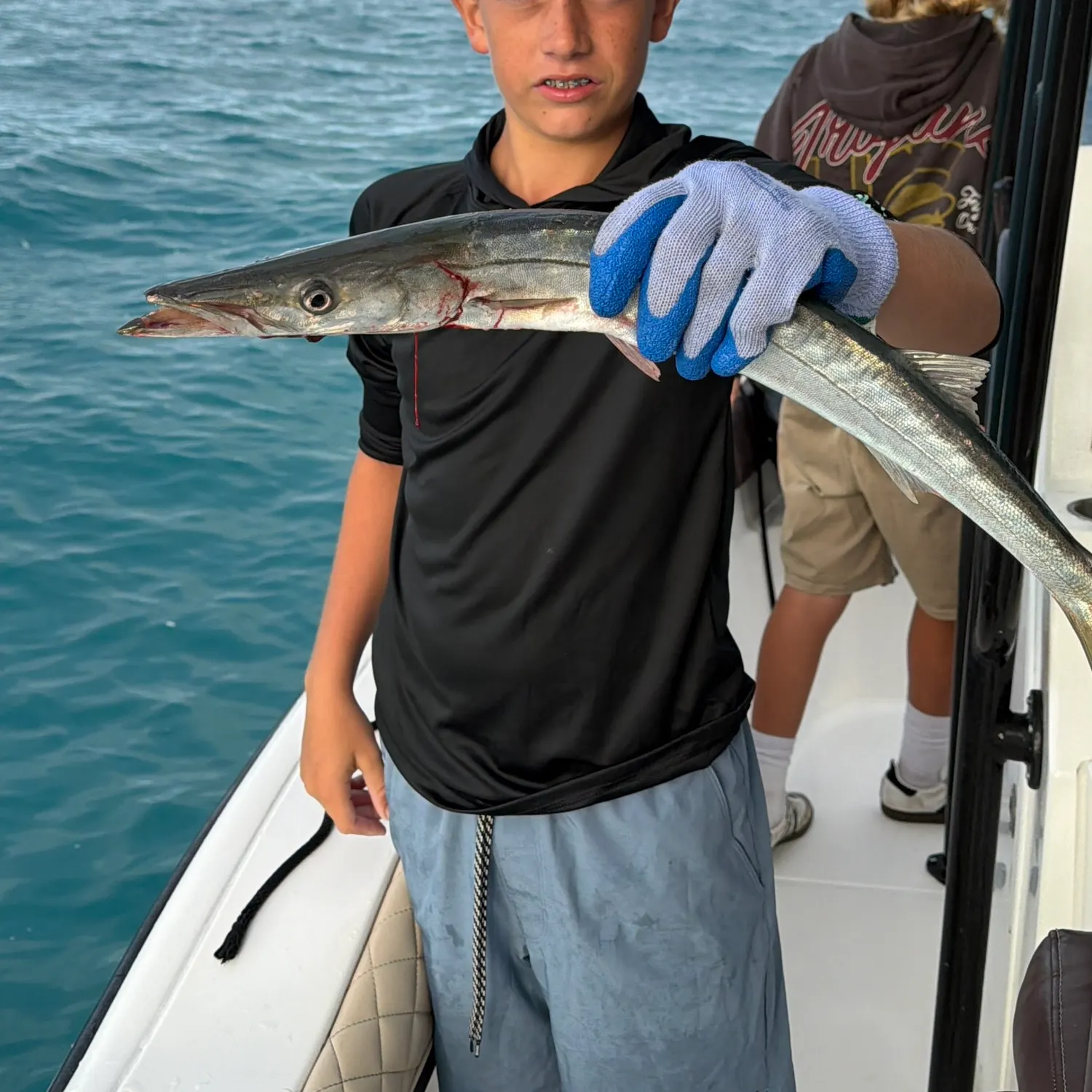 Pacific barracuda caught on Fishbrain