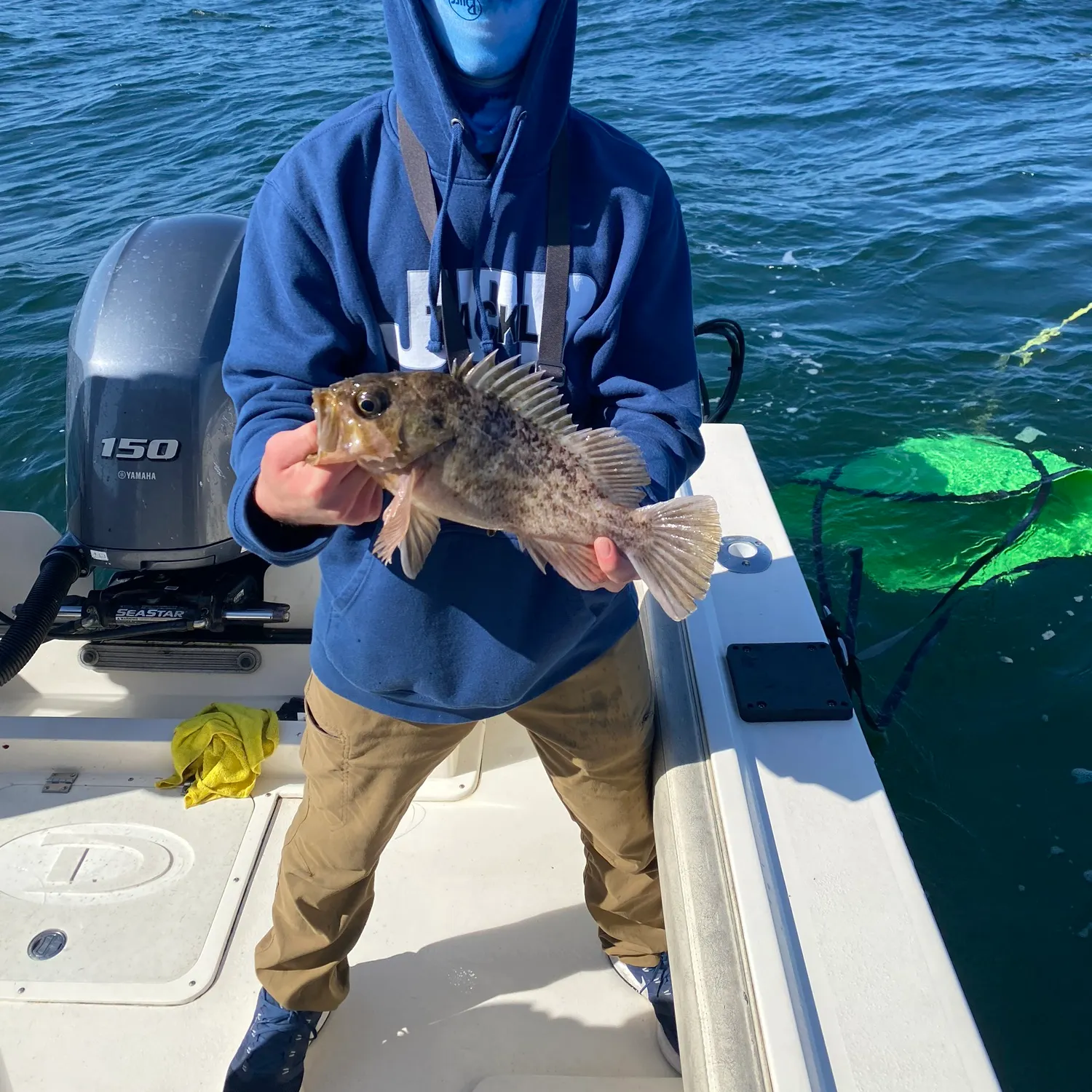 The most popular recent Kelp rockfish catch on Fishbrain