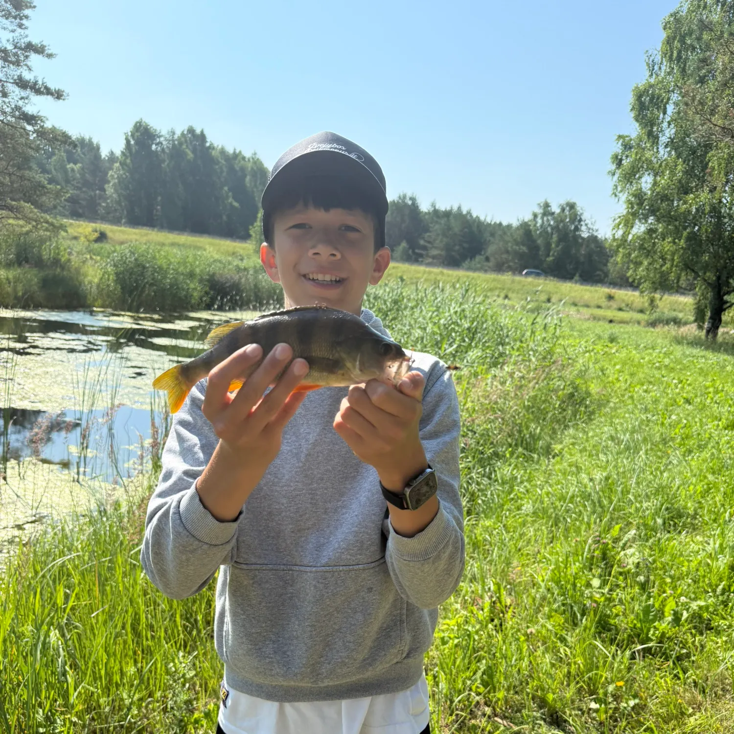 European perch caught on Fishbrain