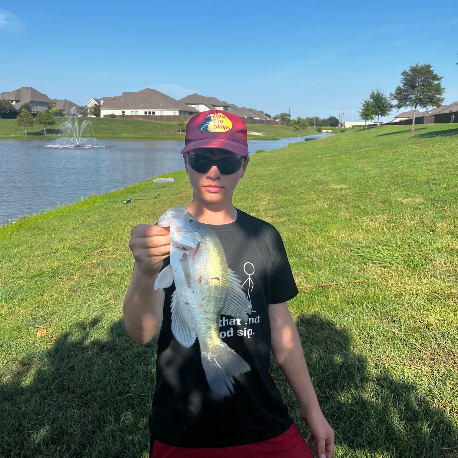 White crappie caught on Fishbrain