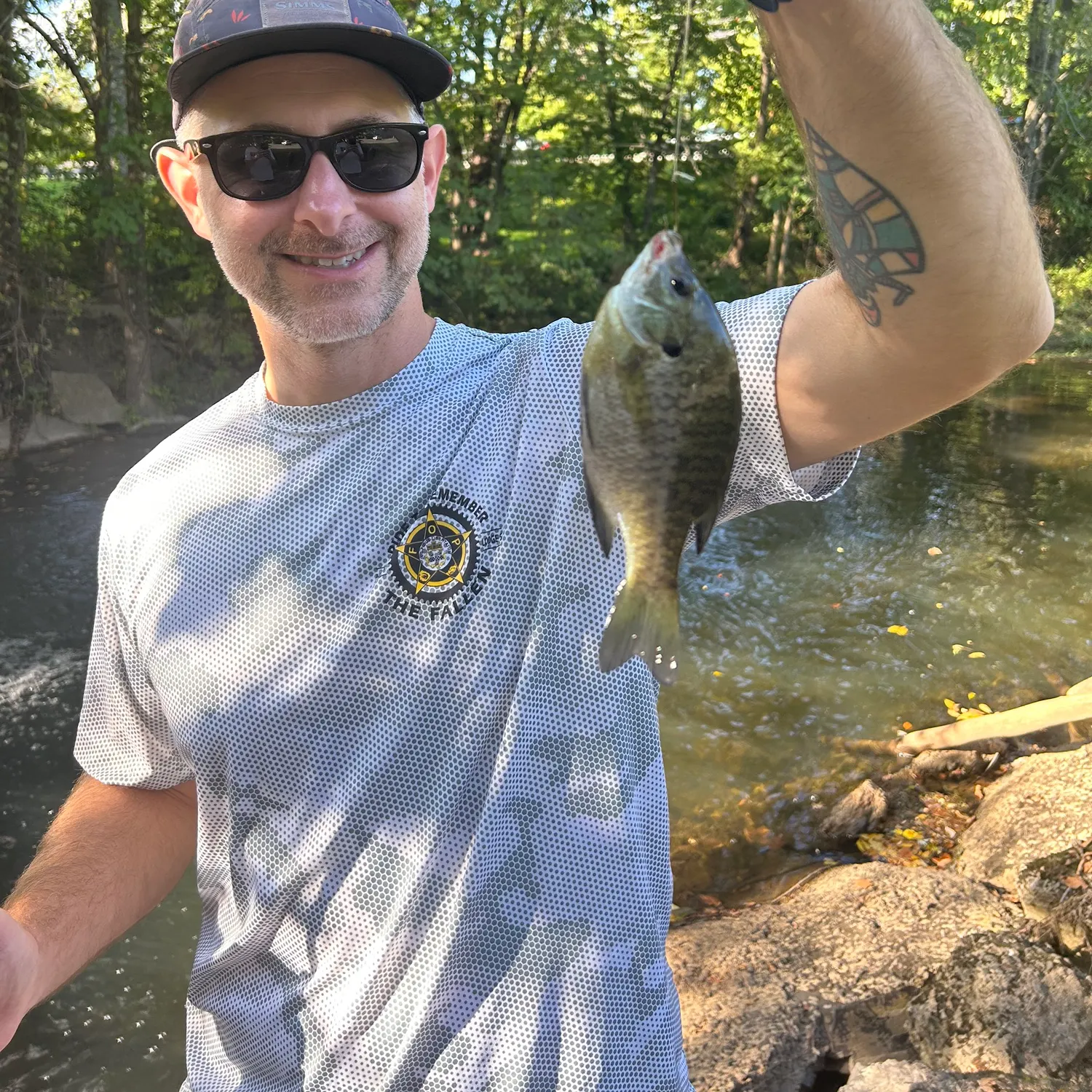Bluegill caught on Fishbrain