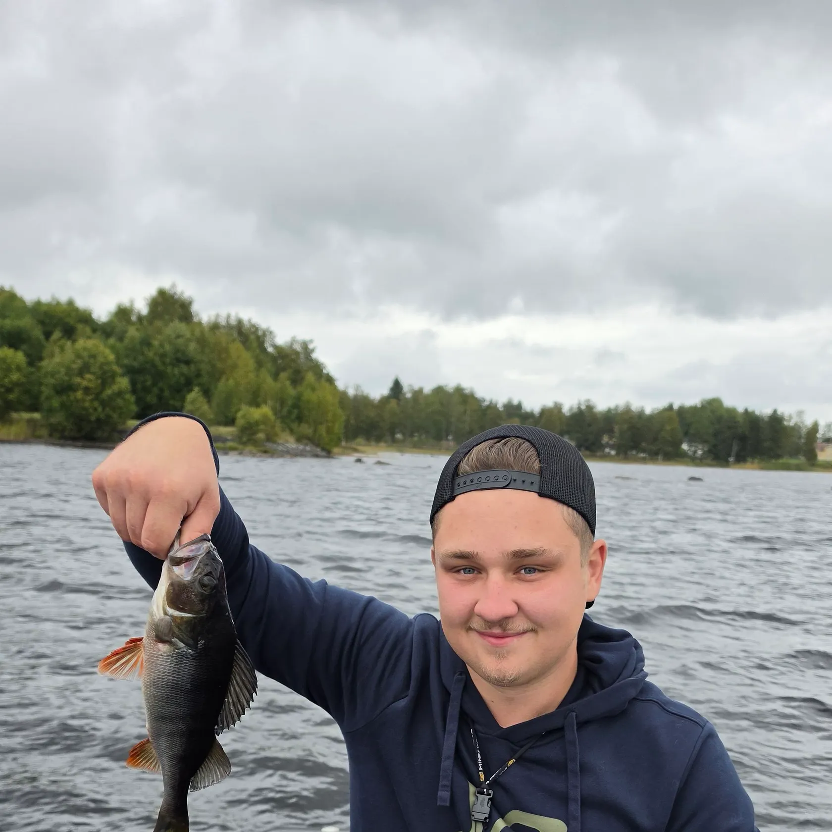 European perch caught on Fishbrain
