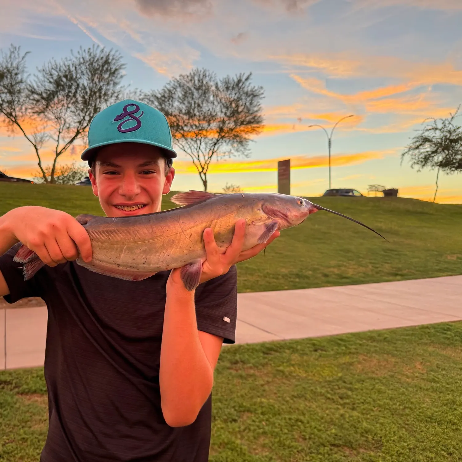 Channel catfish caught on Fishbrain