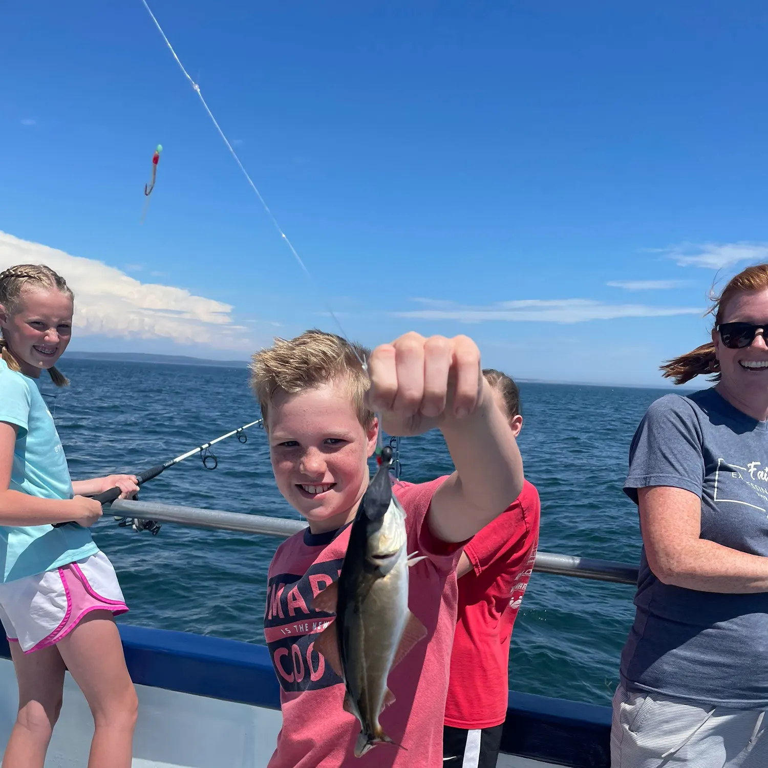 The most recent Atlantic pollock catches on Fishbrain