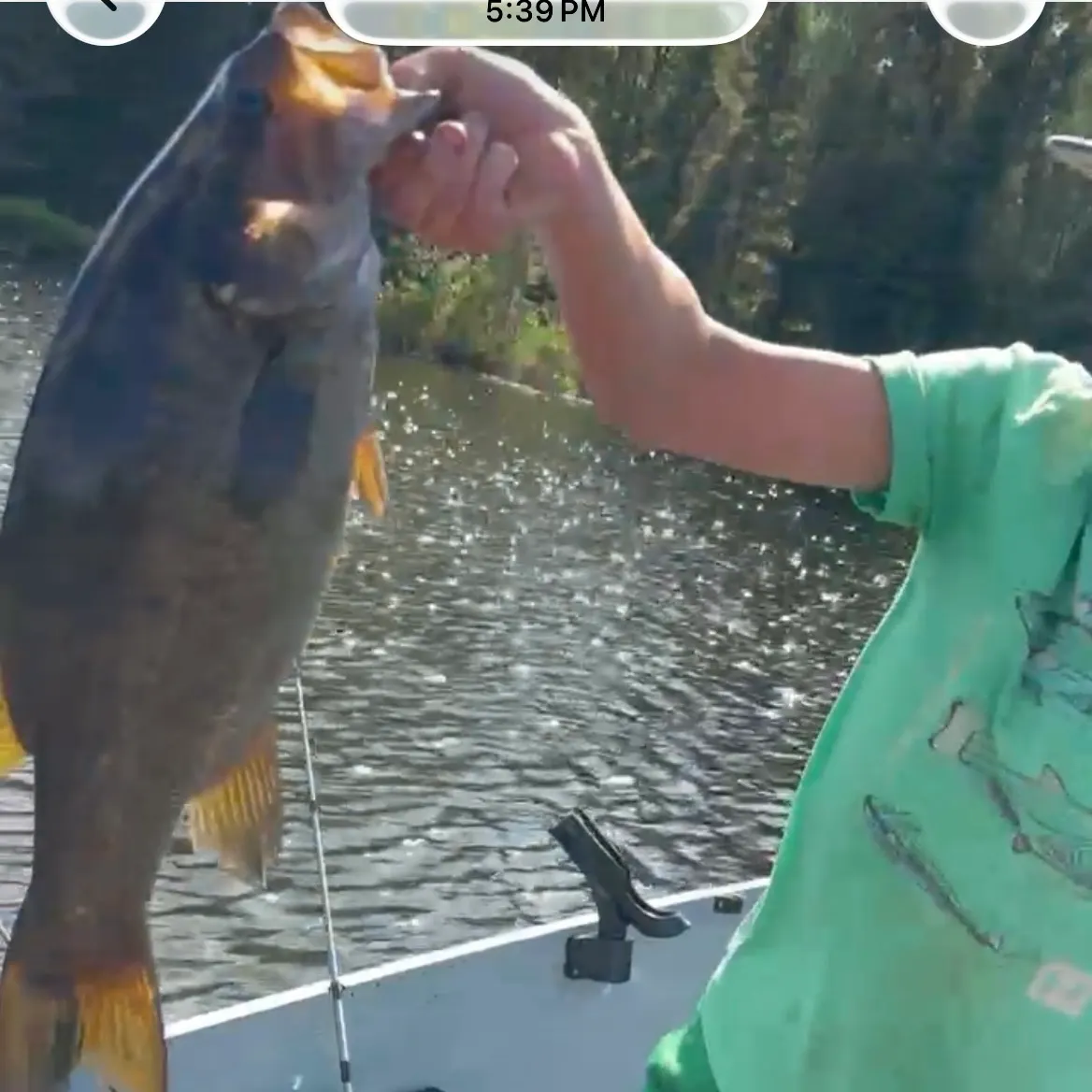 catch