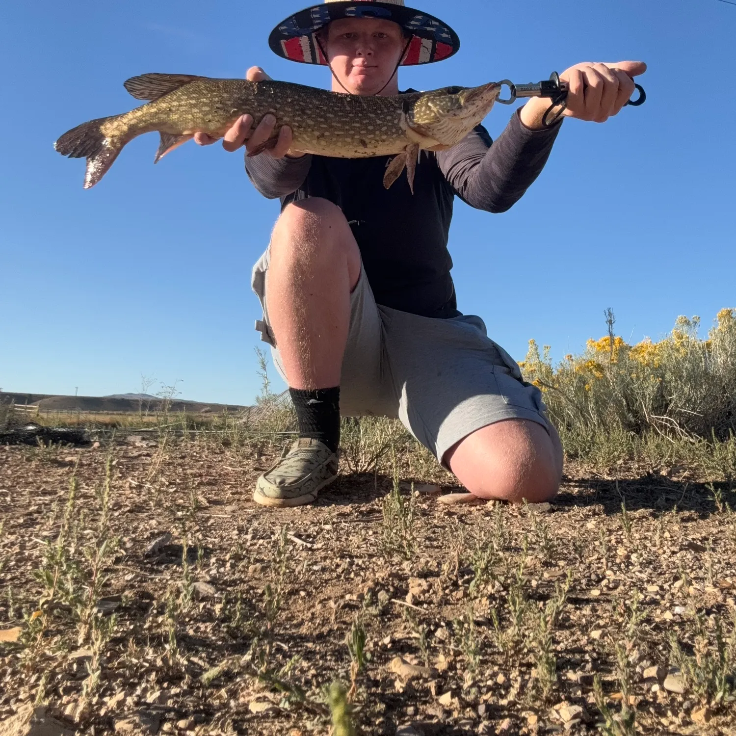 Northern pike caught on Fishbrain