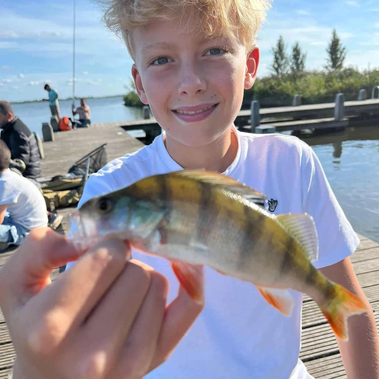 European perch caught on Fishbrain
