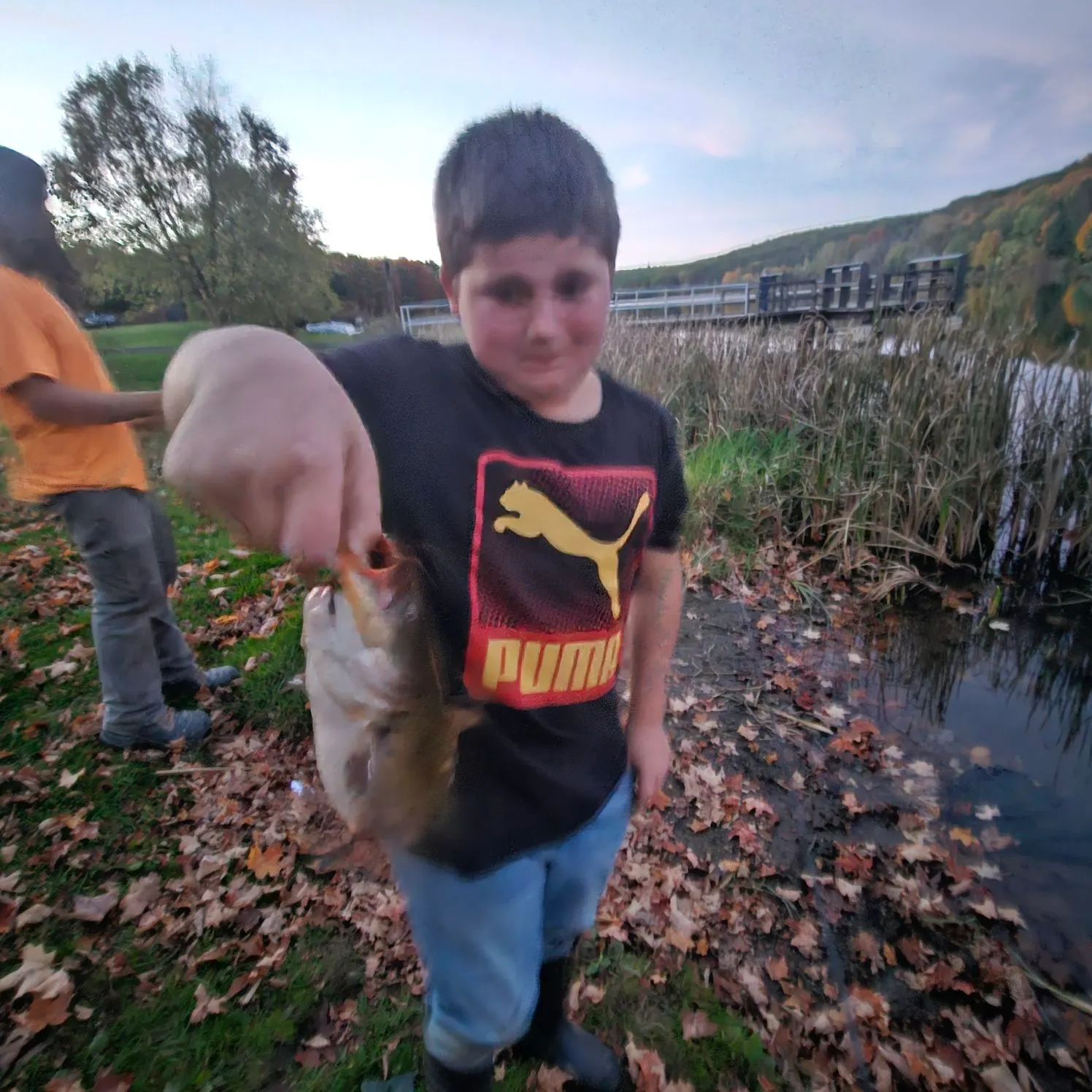 Brown bullhead caught on Fishbrain