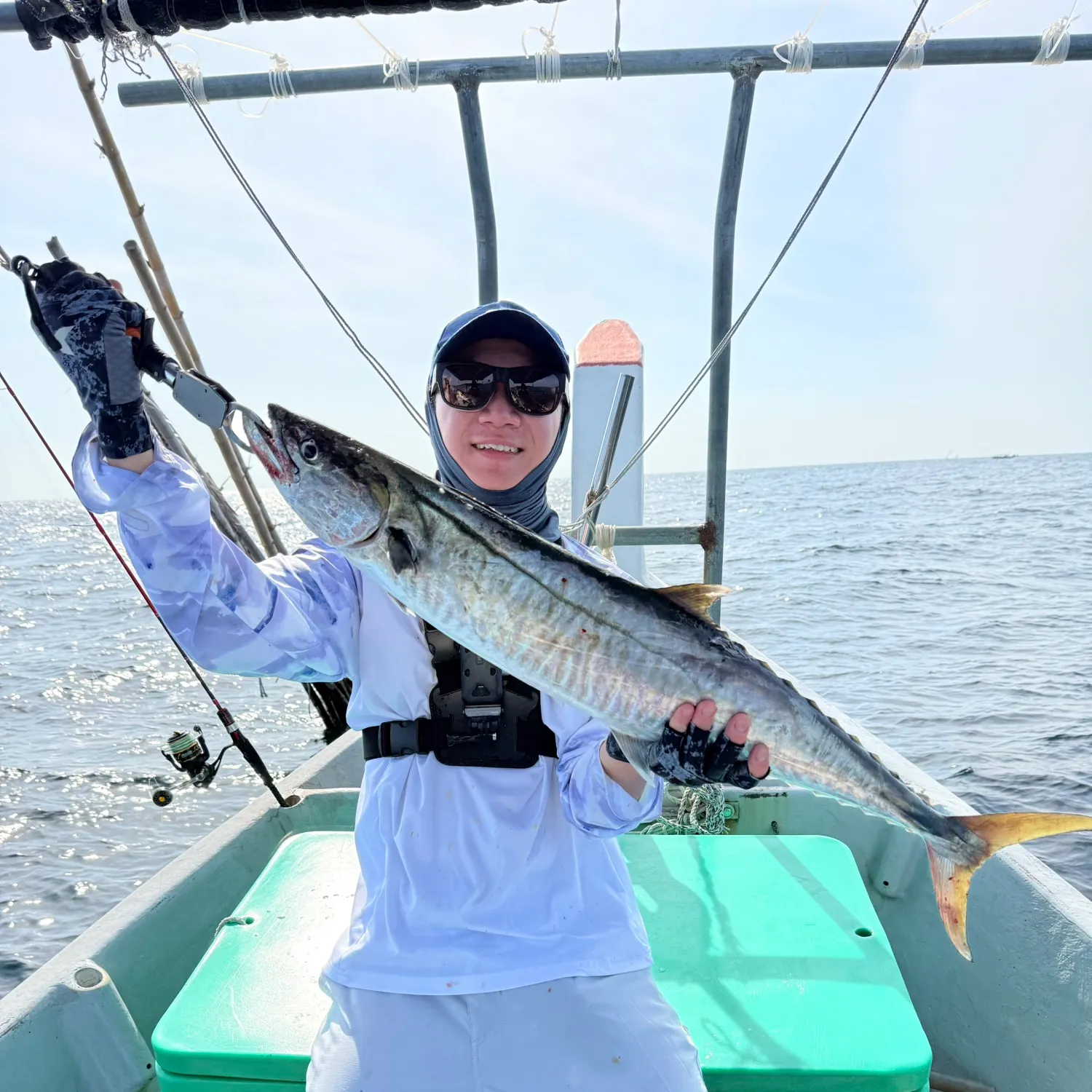 The most recent Narrow-barred Spanish mackerel catches on Fishbrain