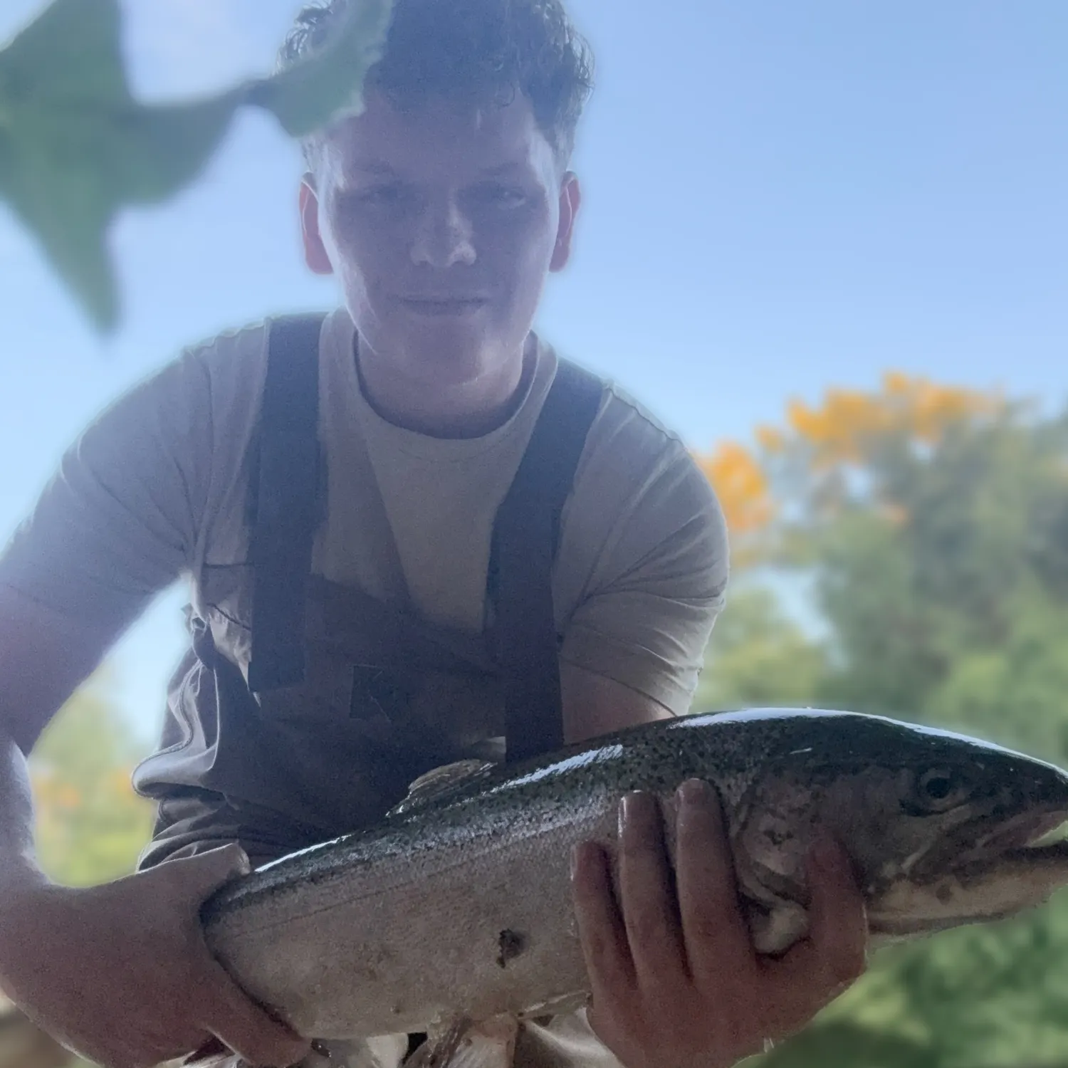 Steelhead caught on Fishbrain