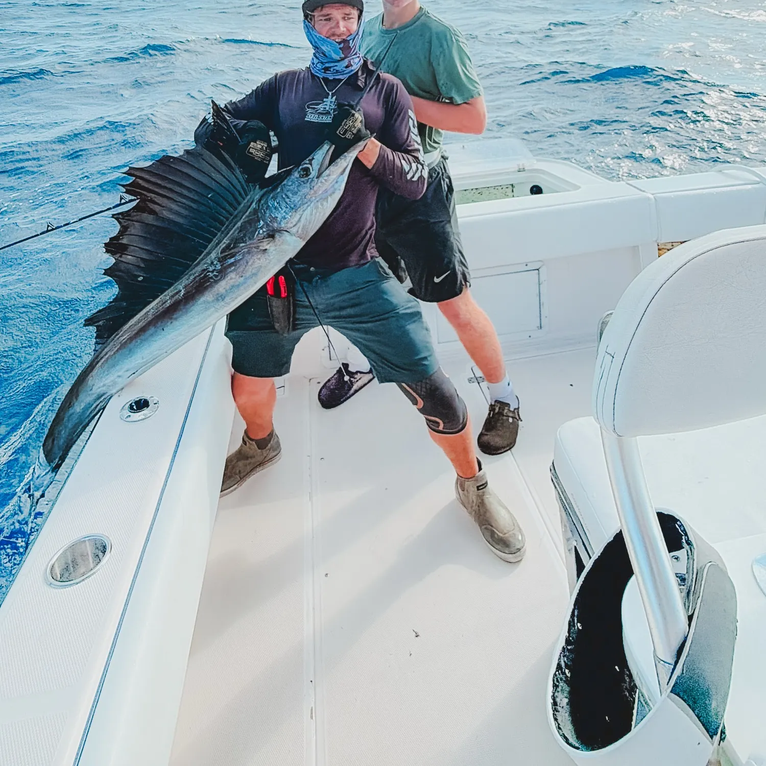 Atlantic sailfish caught on Fishbrain