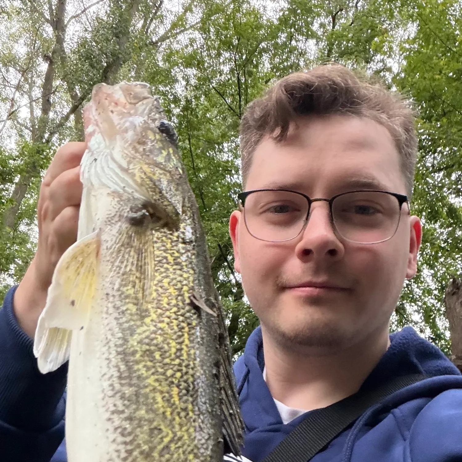 Walleye caught on Fishbrain