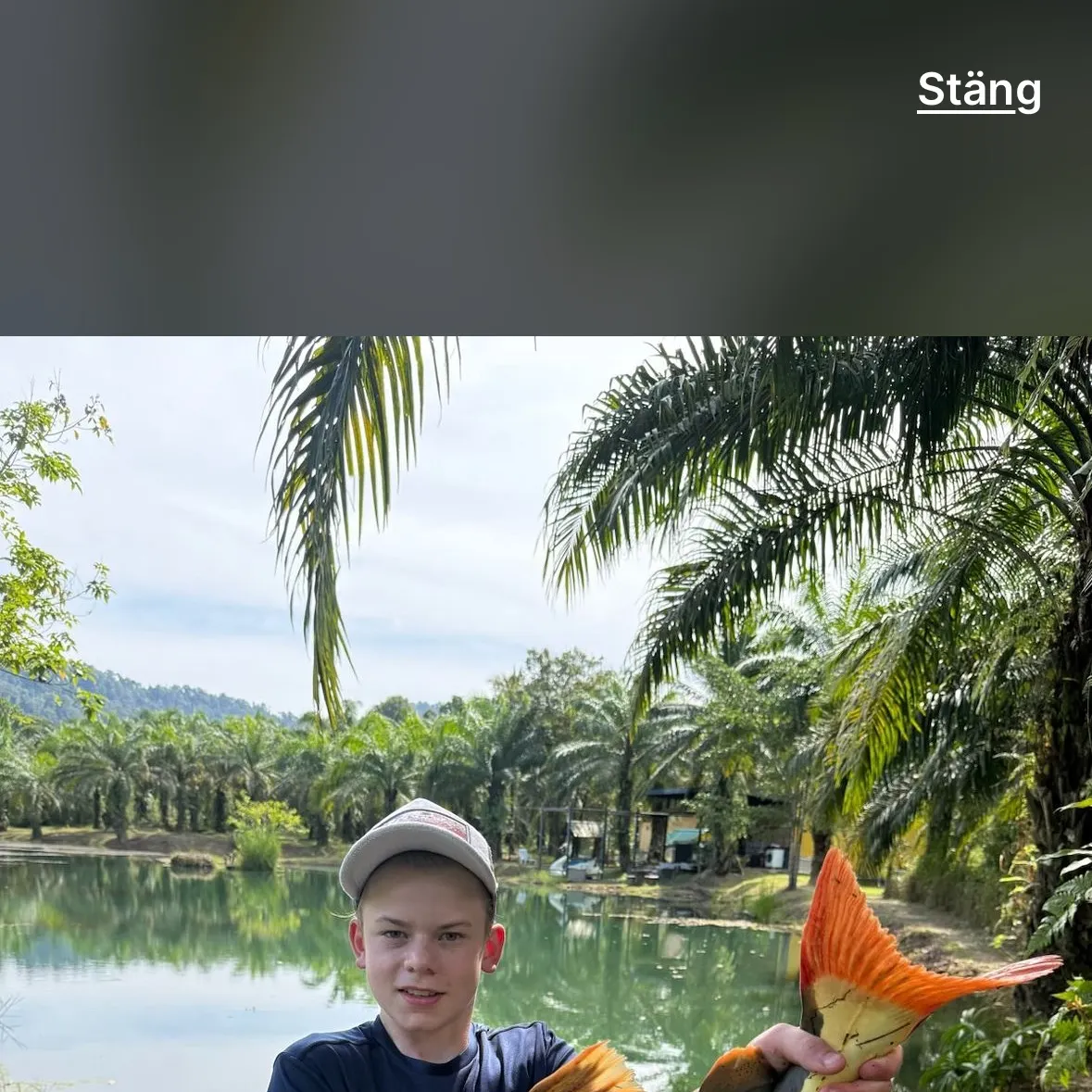 The most recent Redtail catfish catches on Fishbrain