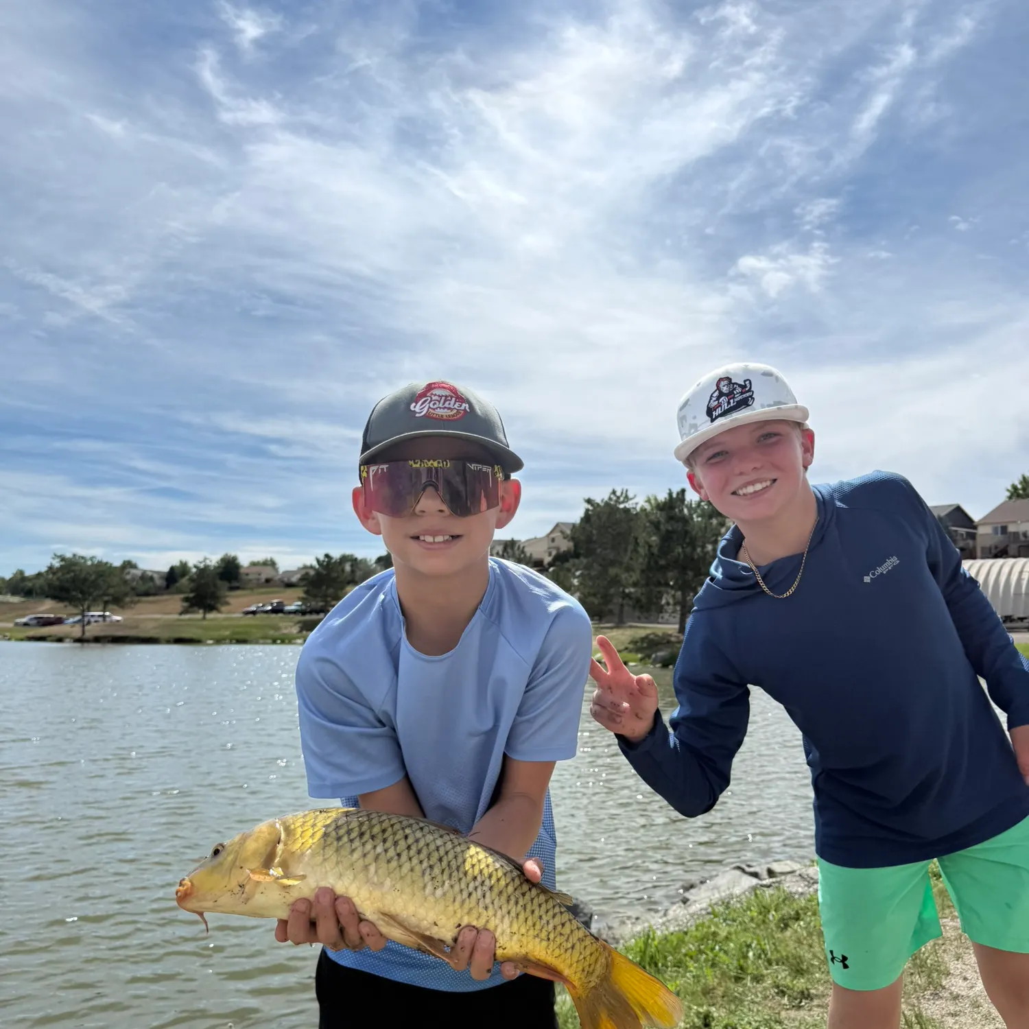 Common carp caught on Fishbrain